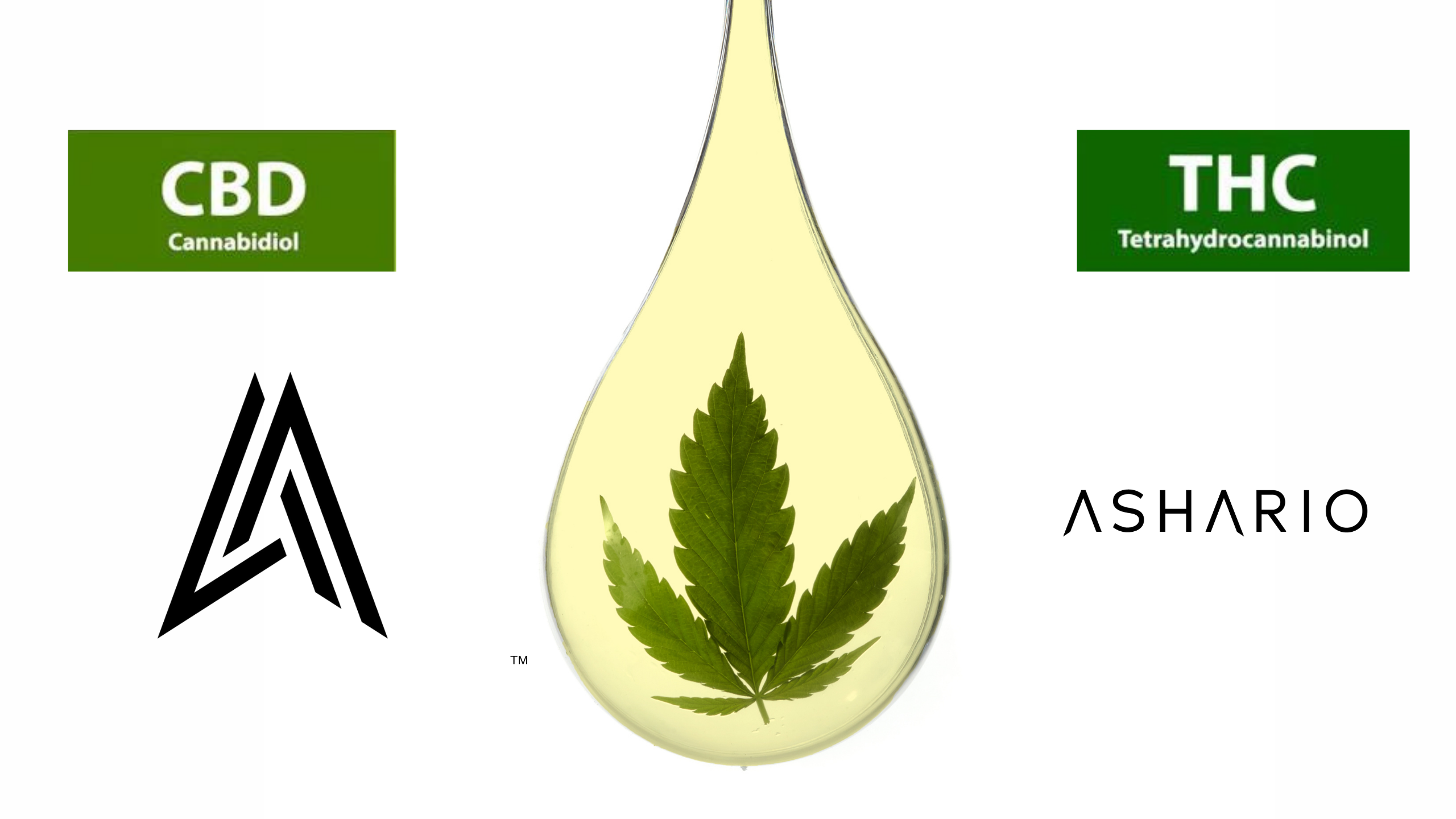 Differences and Benefits of CBD vs THC: Exploring the Contrasts and Potential Health Effects.