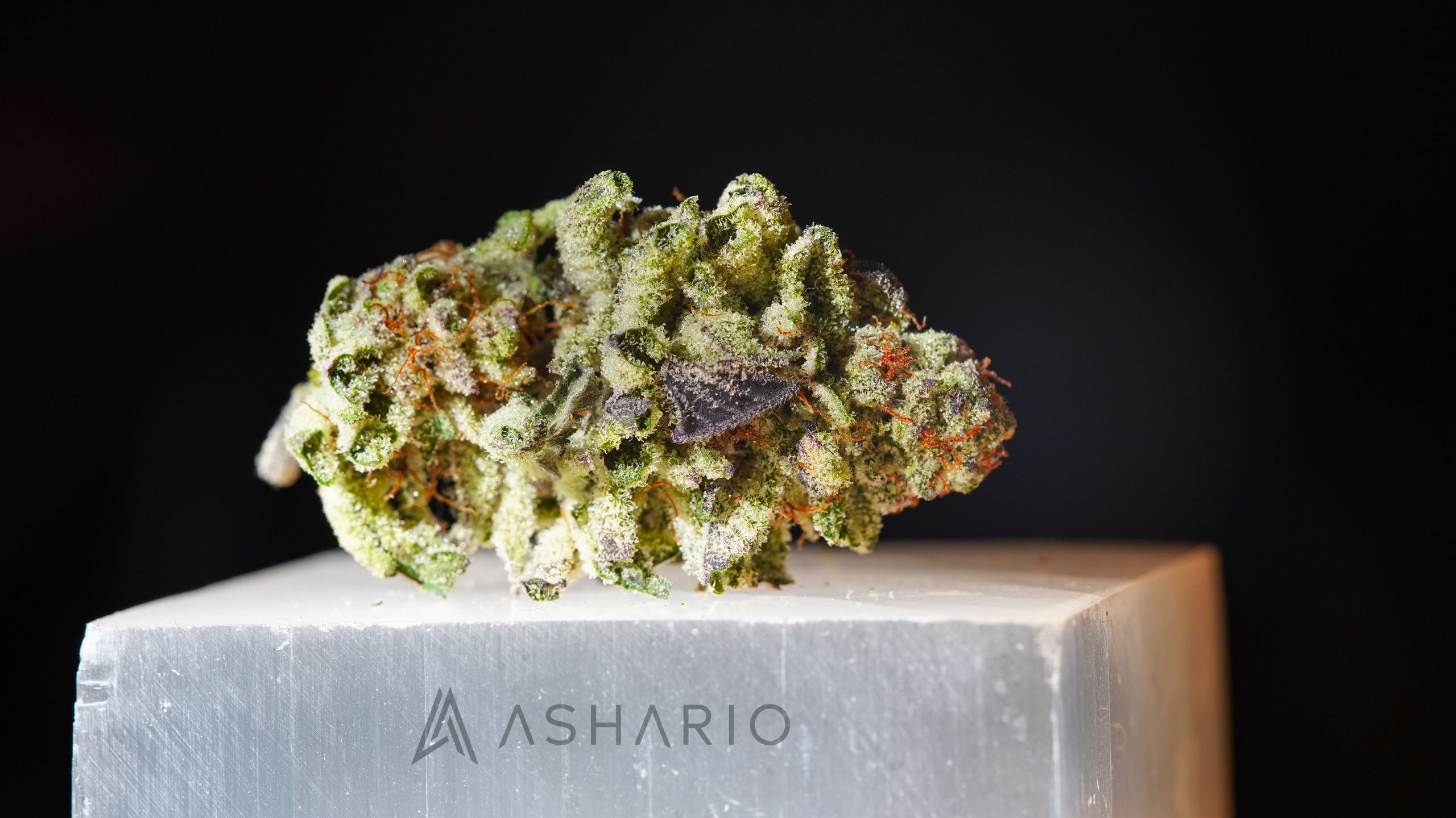 Discover the ideal weed shop experience at Ashario, where quality, selection, and community converge. Explore premium cannabis products, knowledgeable staff, and a welcoming atmosphere across three convenient locations.