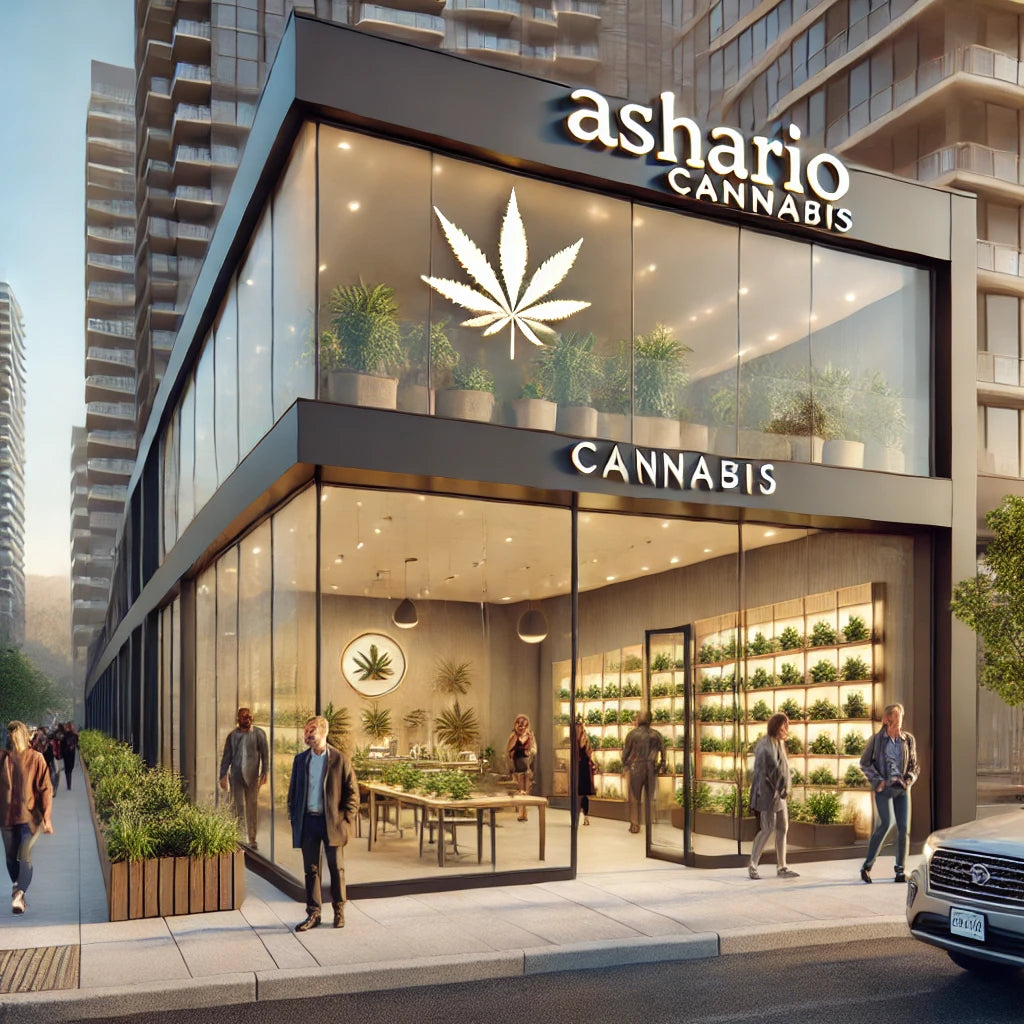 Your Trusted Cannabis Store in Hamilton: Ashario Cannabis