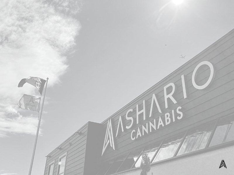 Ashario Finch Opening