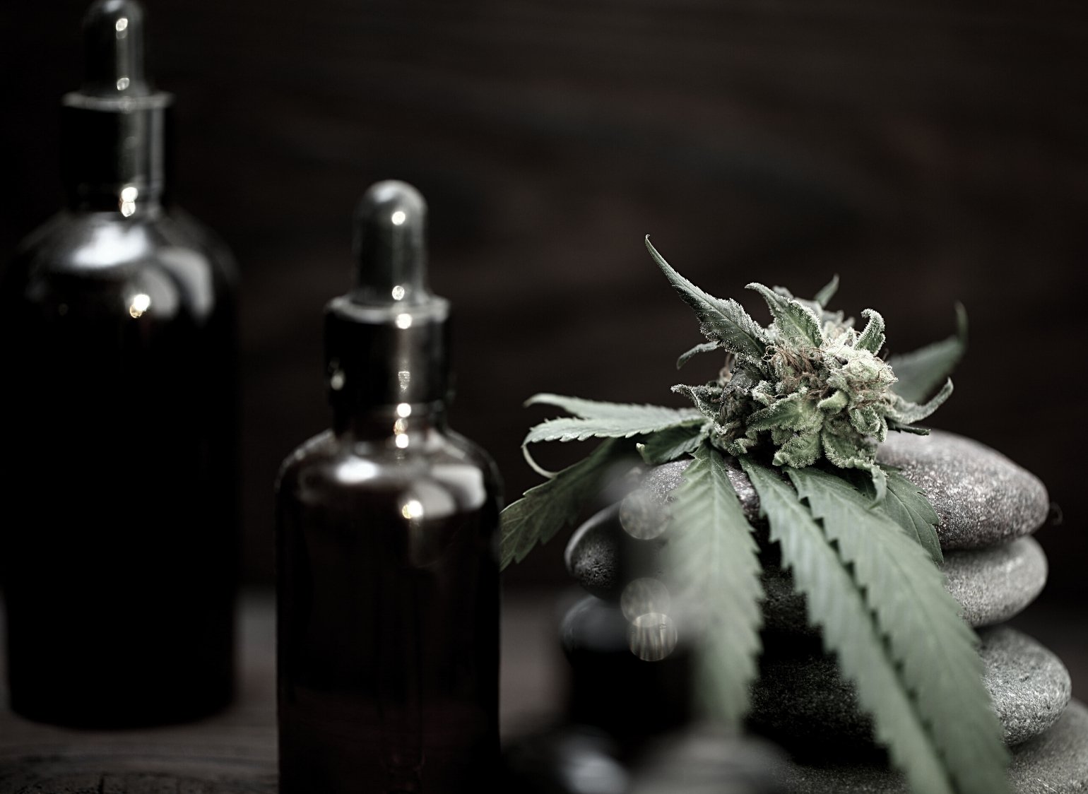 Cannabis Oil: How Much Should I Take?