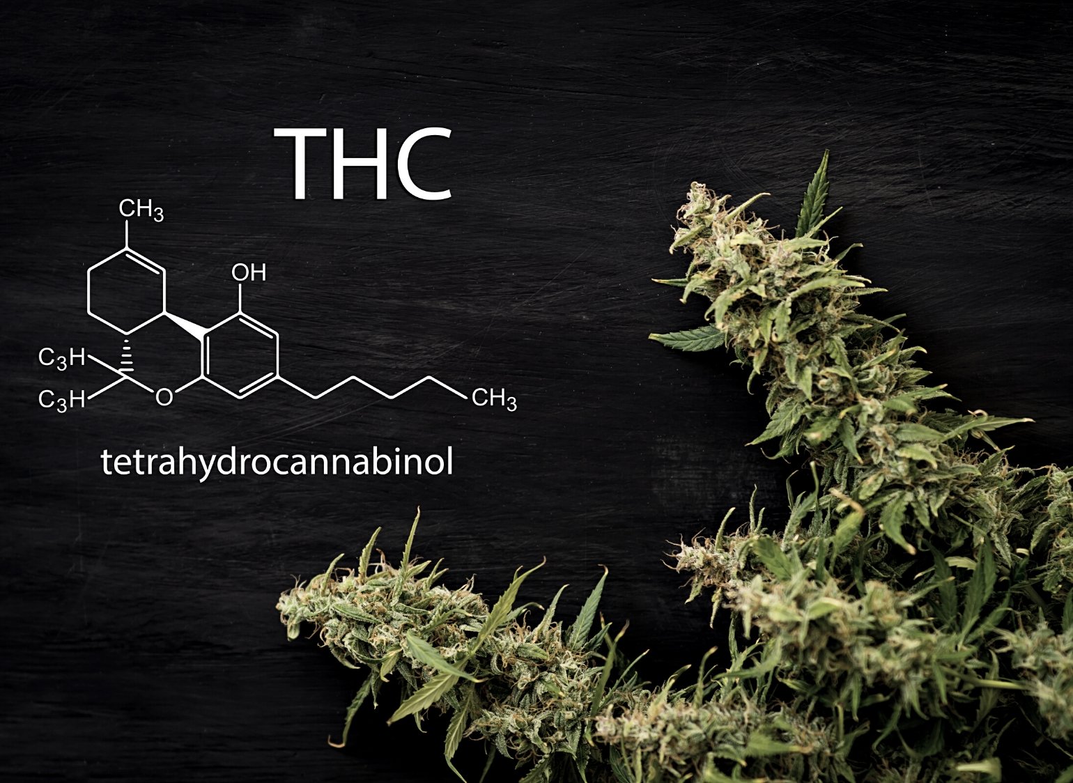 Dive into the world of tetrahydrocannabinol (THC), the primary psychoactive compound found in cannabis. Learn about the origins of THC, its chemical structure, and how it interacts with the body's endocannabinoid system.