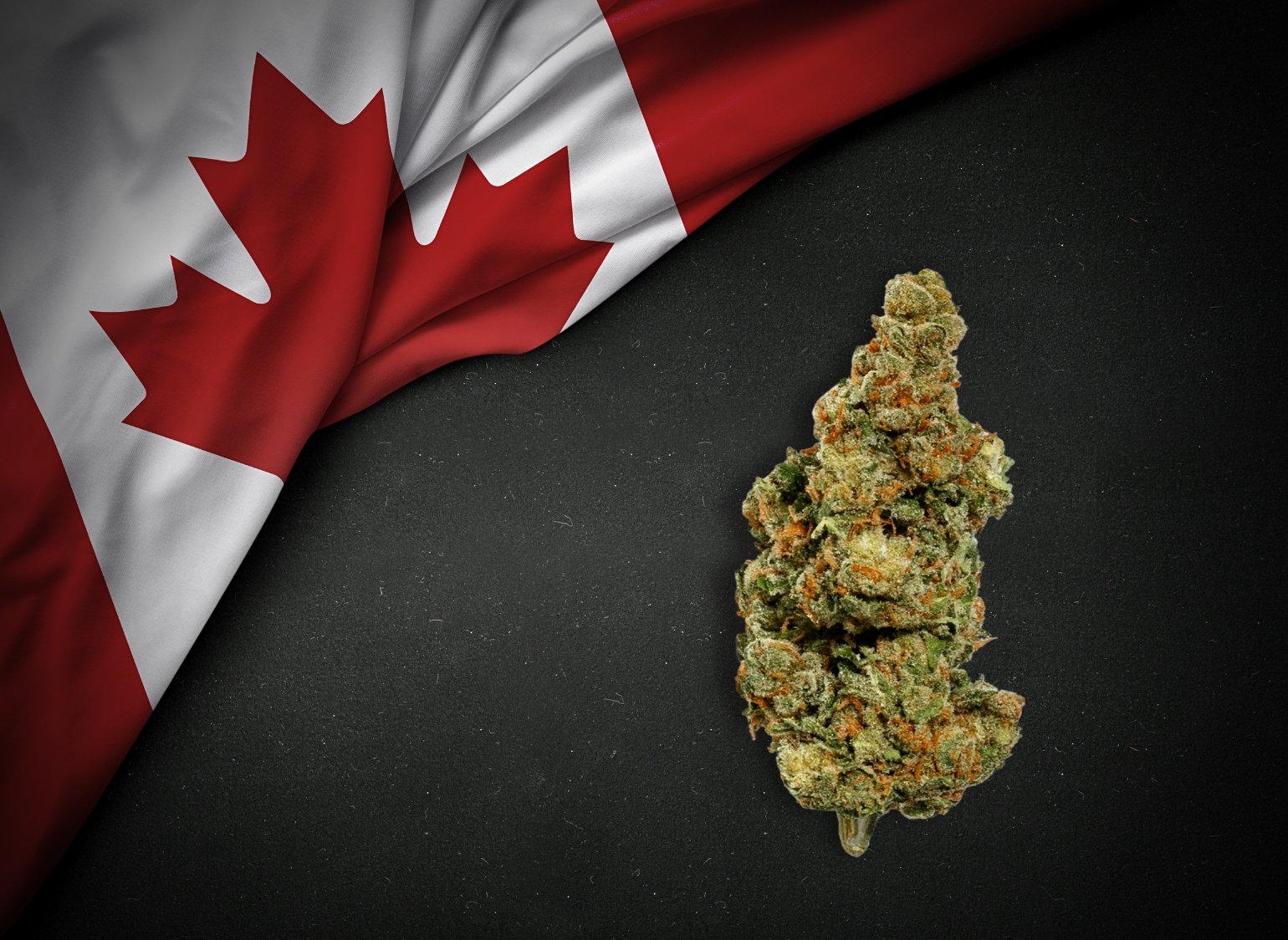 6 Iconic Moments in Cannabis History in Canada