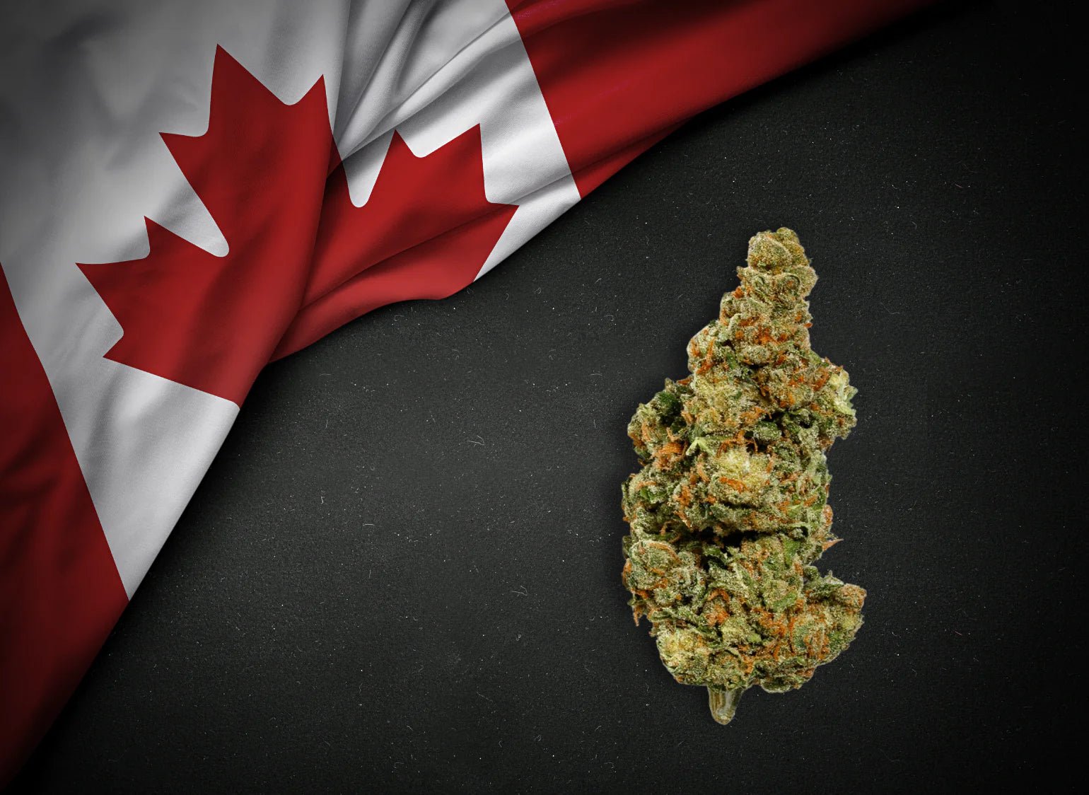 加拿大大麻歷史上的 6 個標誌性時刻