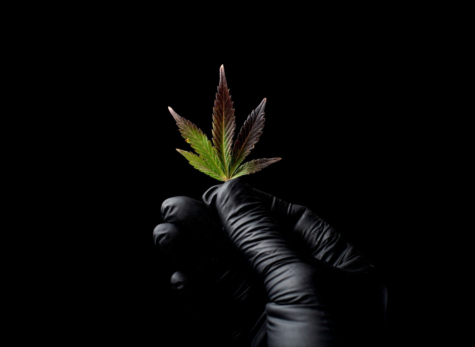 Responsible cannabis use is essential for ensuring a safe and enjoyable experience. This guide provides valuable tips for individuals looking to consume cannabis responsibly.
