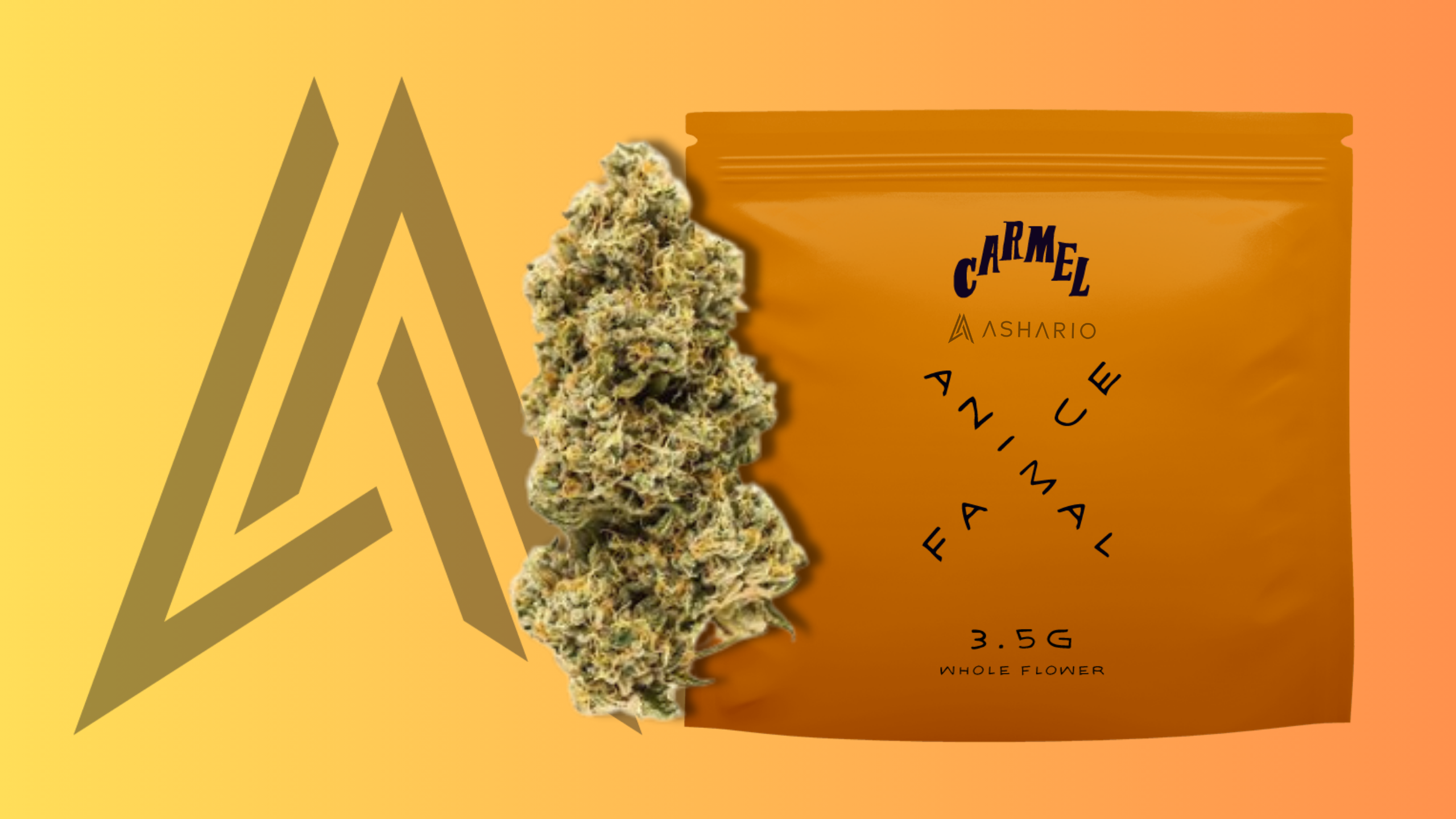 Dive into the untamed wilderness of your mind with Ashario Cannabis' Animal Face High THC. 