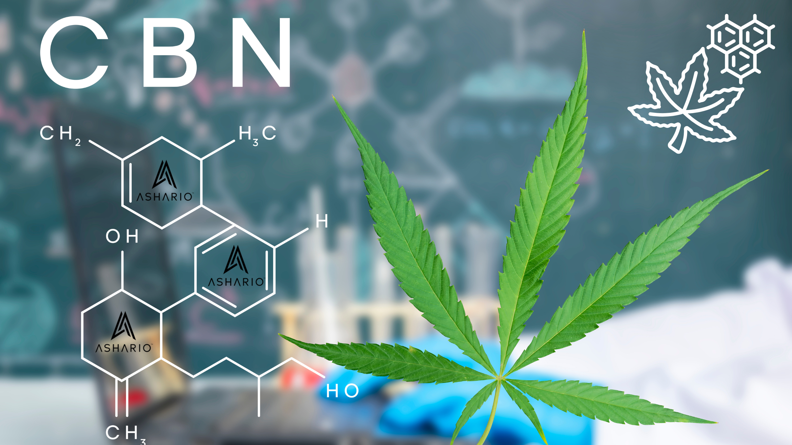 Embark on a journey into the world of cannabinoids with a focus on cannabinol (CBN). Learn about this lesser-known compound found in cannabis and its potential to revolutionize your wellness routine.