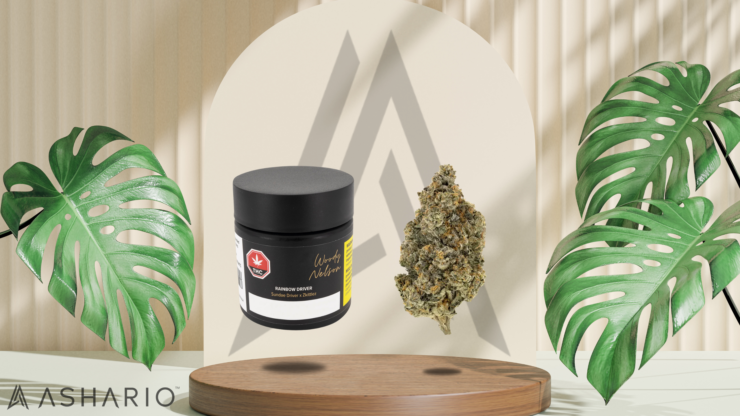 Join us as we shine a spotlight on Woody Nelson, a beloved brand in the cannabis community, courtesy of Ashario Cannabis.