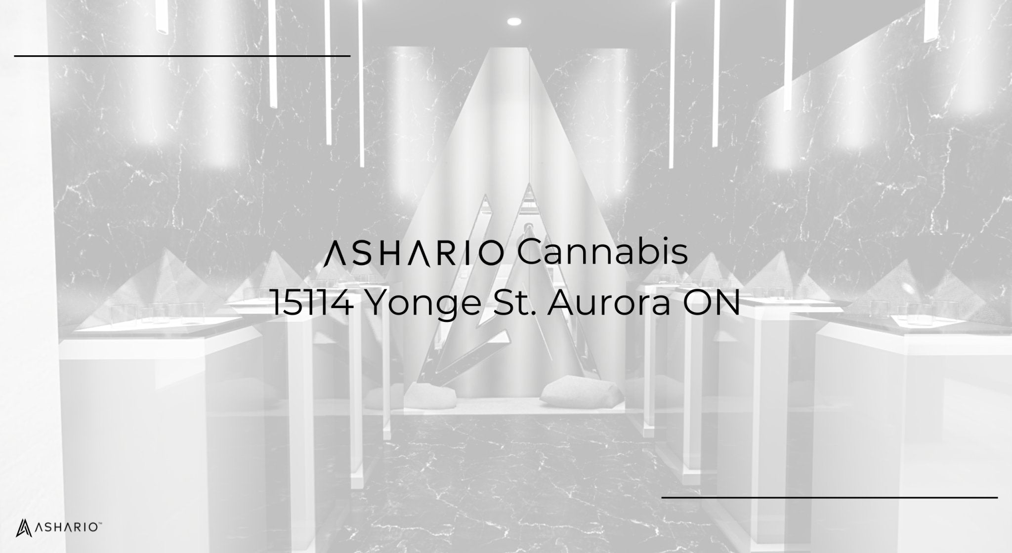 Join us in celebrating the grand opening of Ashario Aurora, a beacon of cannabis culture in the heart of the city. Immerse yourself in the vibrant atmosphere as we unveil our latest dispensary, offering a curated selection of premium cannabis products.