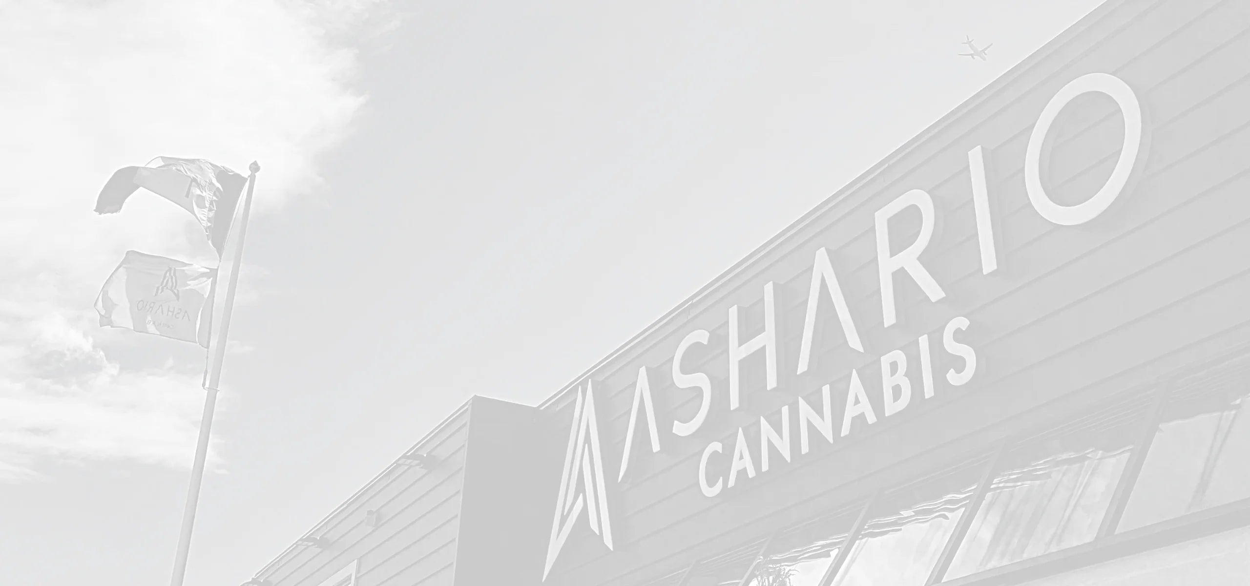 Why It's the Top Weed Shop in Canada
