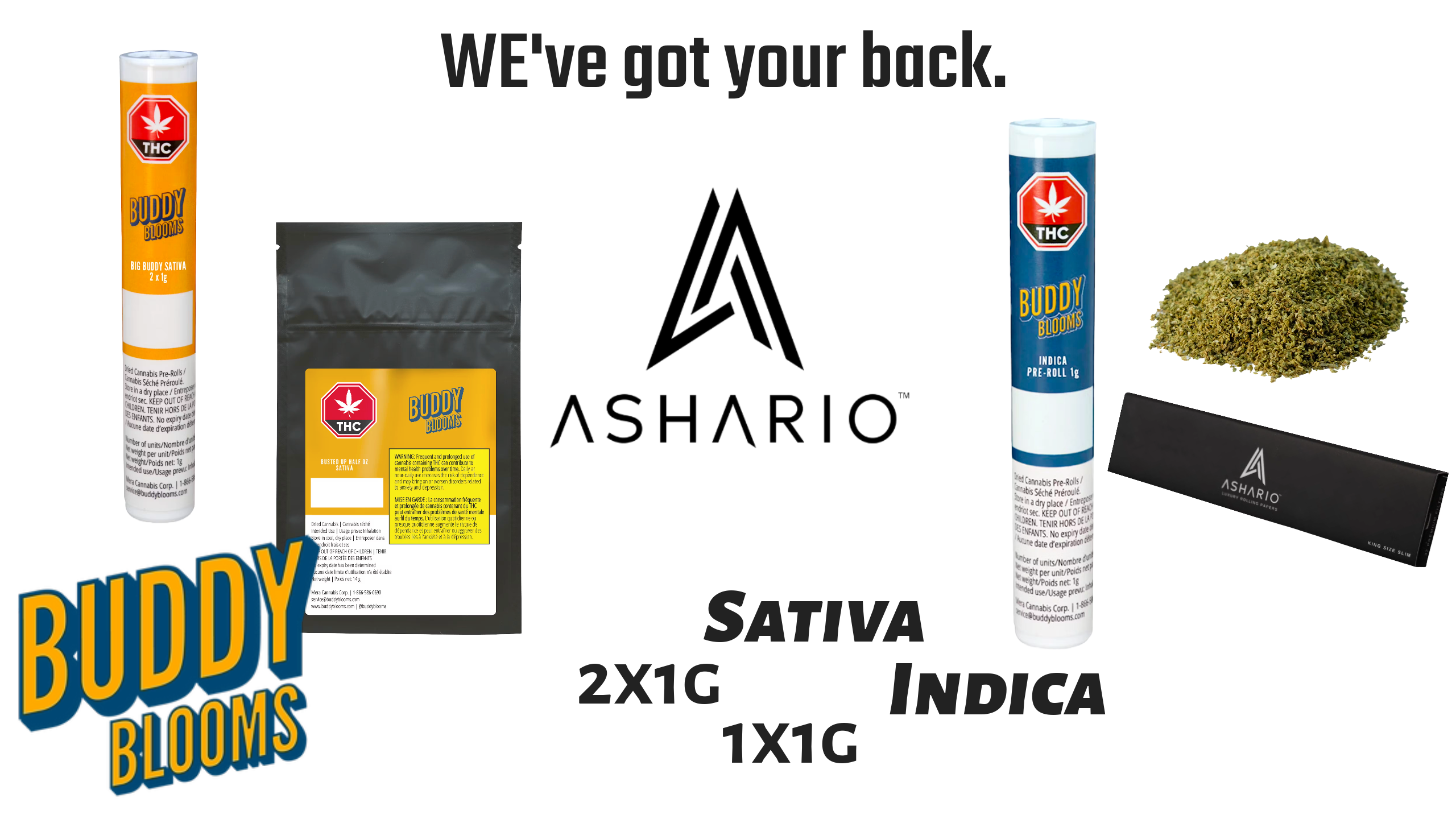 Embark on a journey of elevated cannabis enjoyment with Buddy Blooms, the premier destination for milled flower and pre-rolls in Canada, now available at Ashario Cannabis.