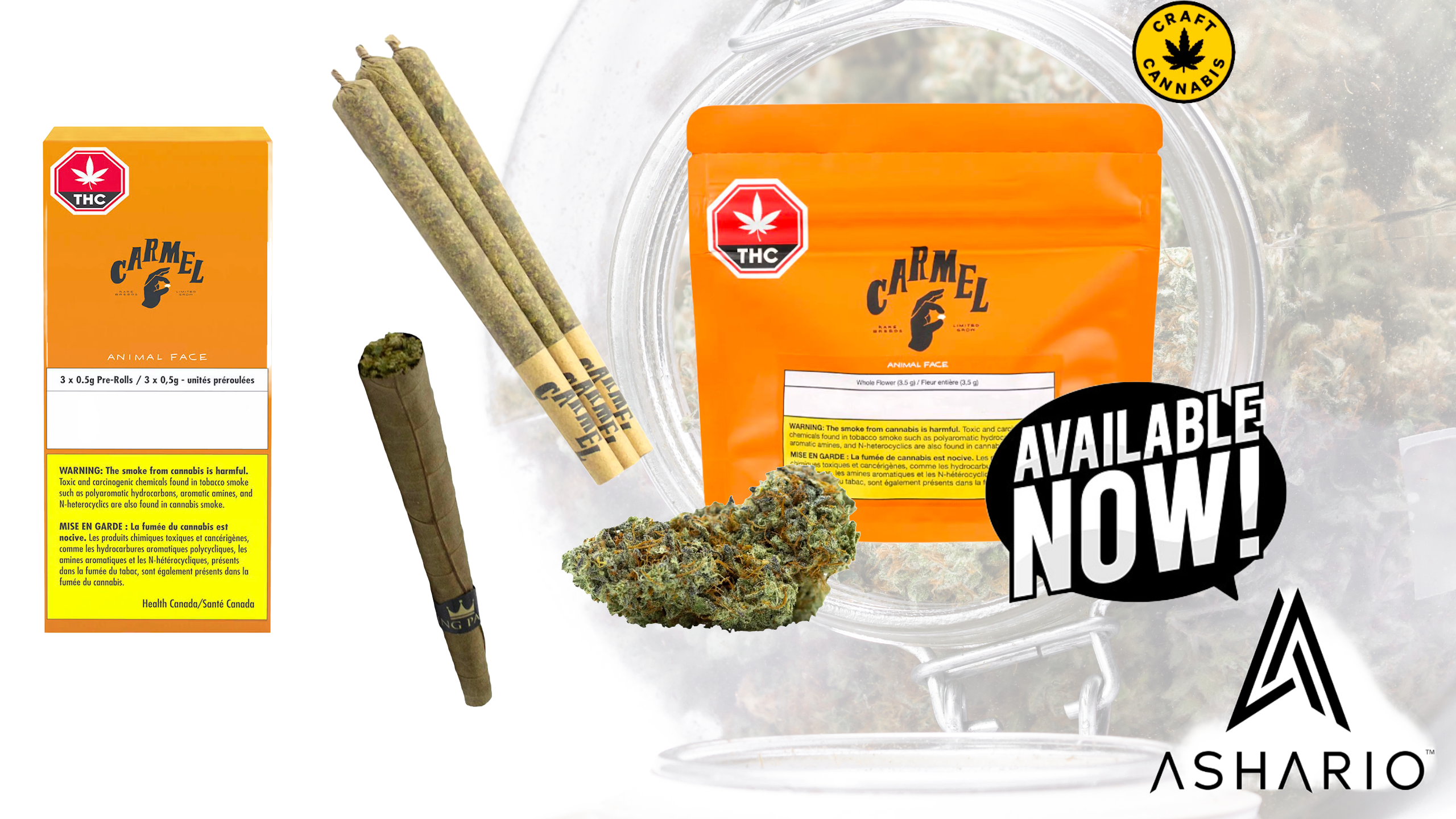 Embark on a journey of unparalleled excellence with Carmel, recognized as the epitome of craft flower and pre-roll products in Canada, now available at Ashario Cannabis. 