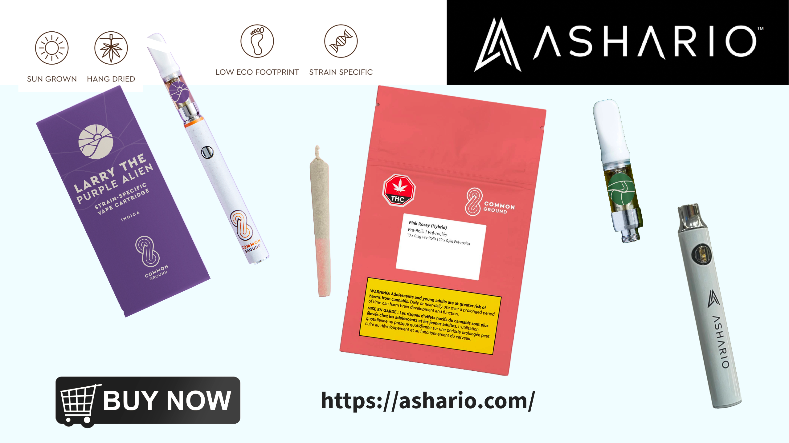 Uncover a realm of excellence with Common Ground, celebrated as the pinnacle of recreational cannabis stores in Canada and proudly featured at Ashario Cannabis.