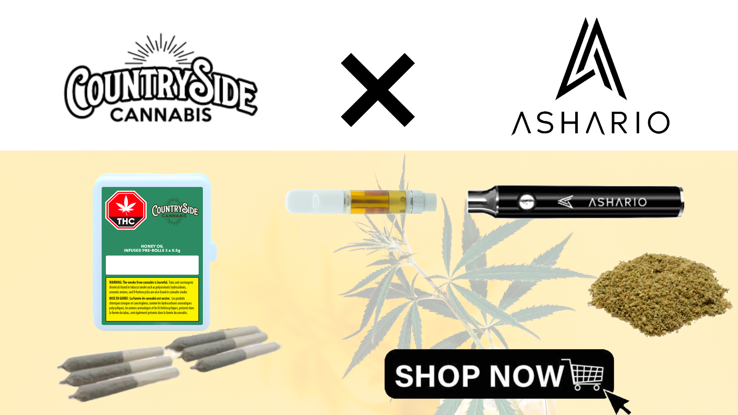 Delve into a world of premium cannabis products with Countryside Cannabis, recognized as Canada's foremost destination for top-tier vape carts and pre-rolls, now available at Ashario.