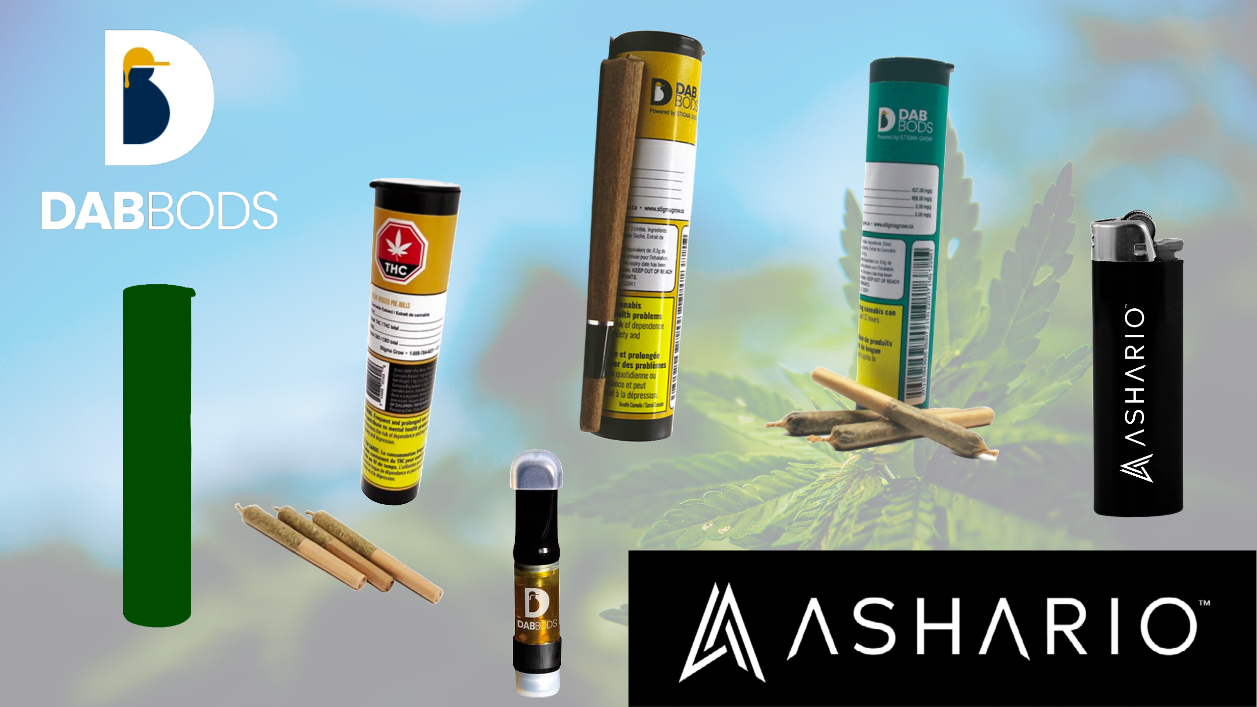 Embark on a journey of cannabis sophistication with Dab Bods, your premier provider of infused pre-rolls and vape carts in Canada, now available at Ashario. 