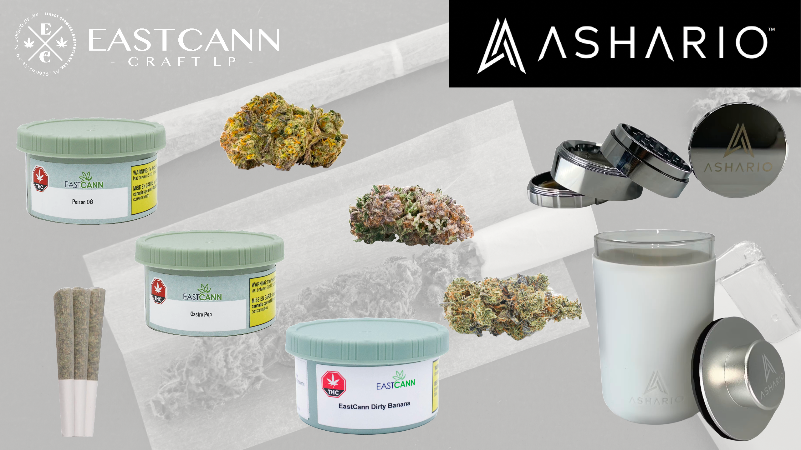 Explore the pinnacle of craft flower excellence with Eastcann, the epitome of quality and sophistication in the cannabis world, now showcased at Ashario.