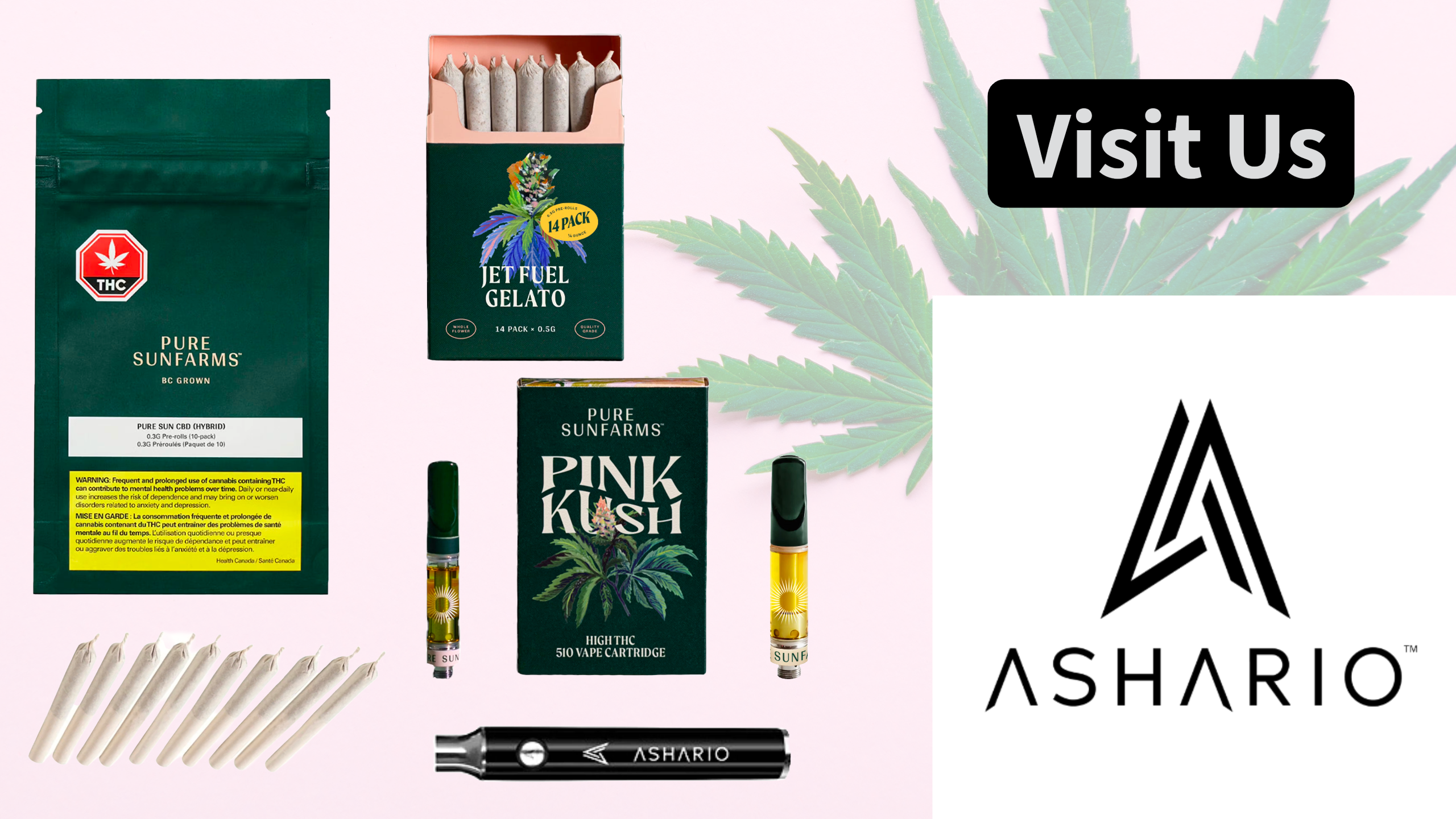 Experience the epitome of quality cannabis with Pure Sunfarms, now available at Ashario Cannabis.
