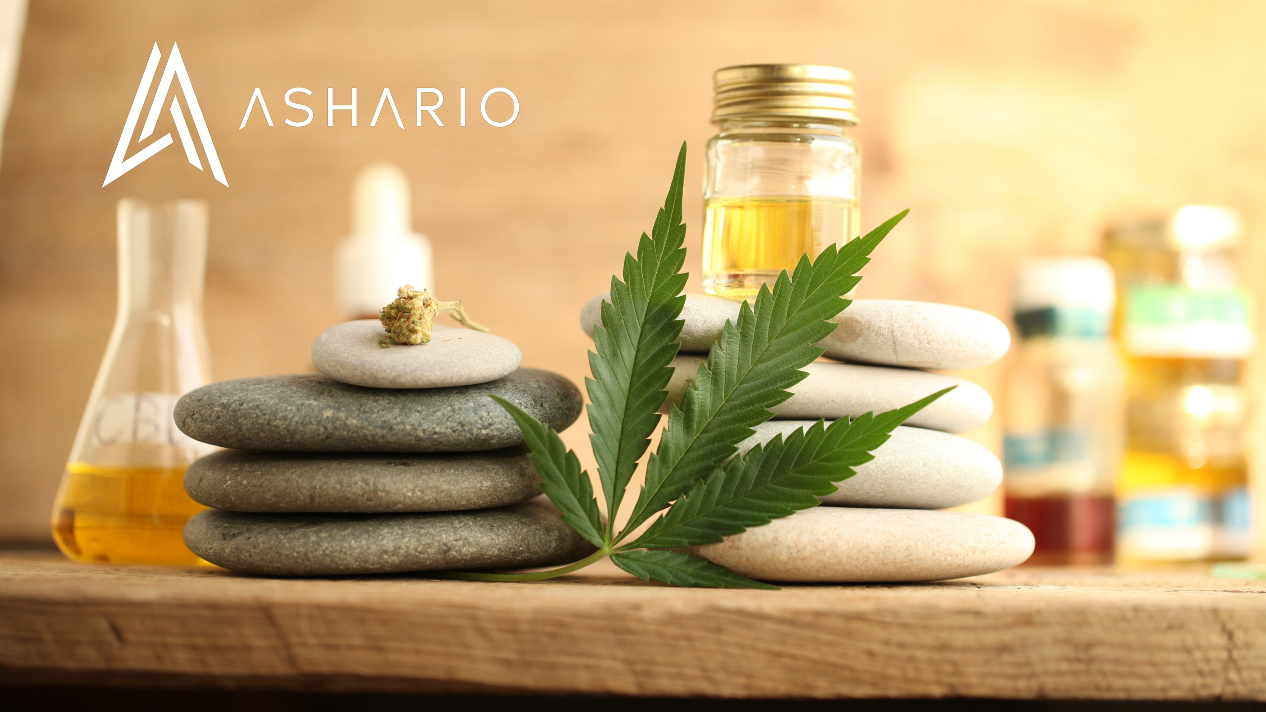 Join Ashario Cannabis on an enlightening journey through the world of CBD in our comprehensive guide. Learn the basics of cannabidiol, including its origins, extraction methods, and potential therapeutic properties. 