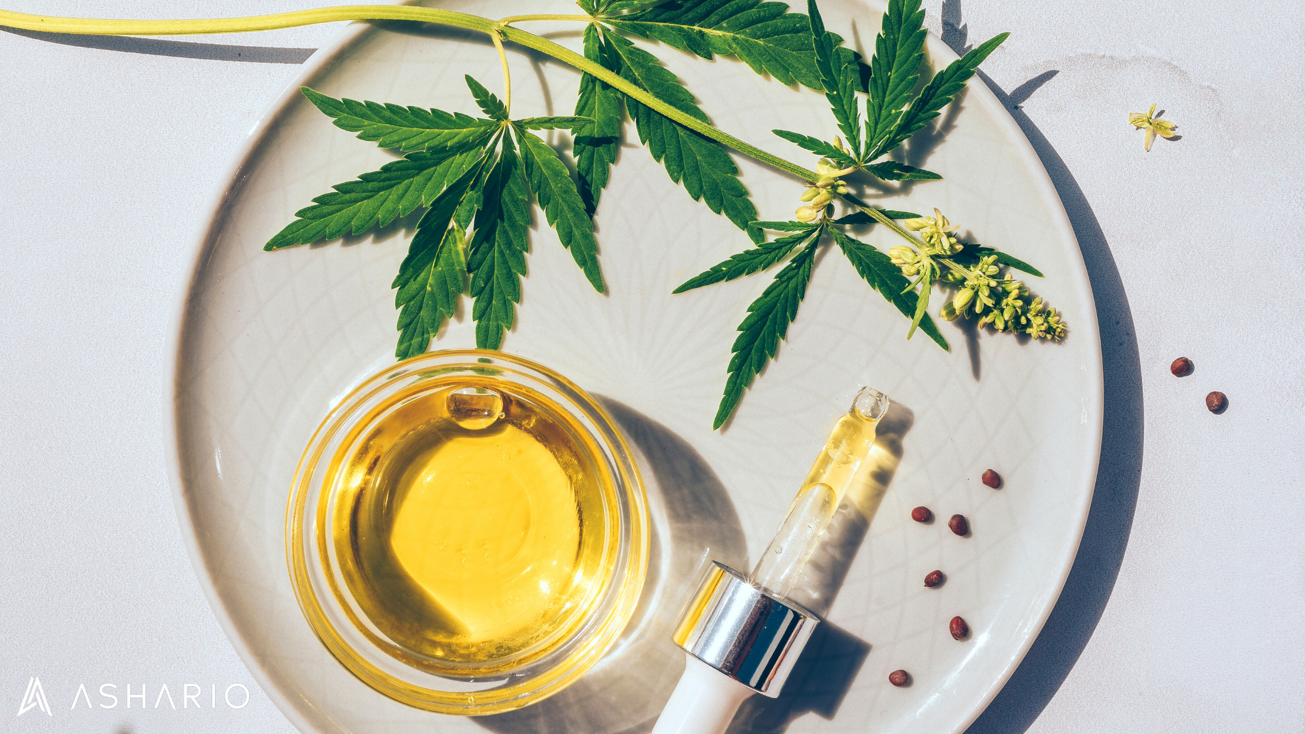 Embark on a journey into the world of CBD extraction and uncover the scientific benefits of consuming CBD products. 