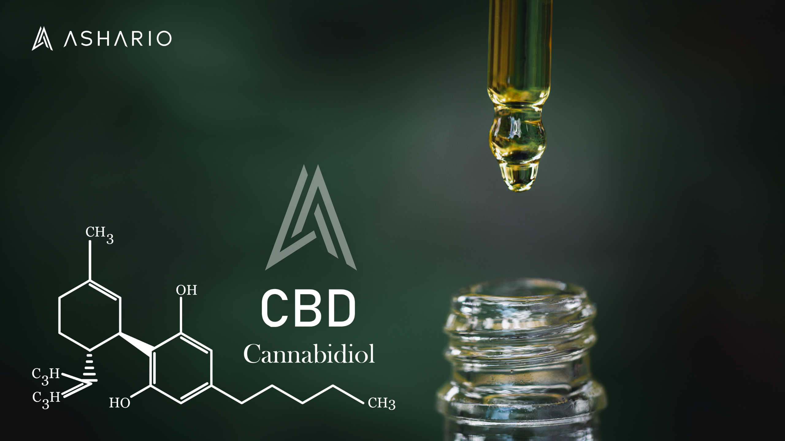 Journey into the realm of CBD with Ashario Cannabis and unlock the myriad benefits and implications of this natural compound. 