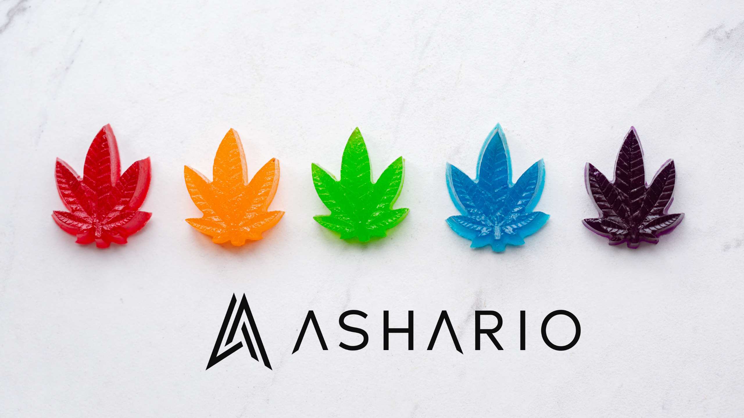 Discover Canada's strongest THC weed edibles at Ashario Cannabis, where potency meets exceptional flavor. 