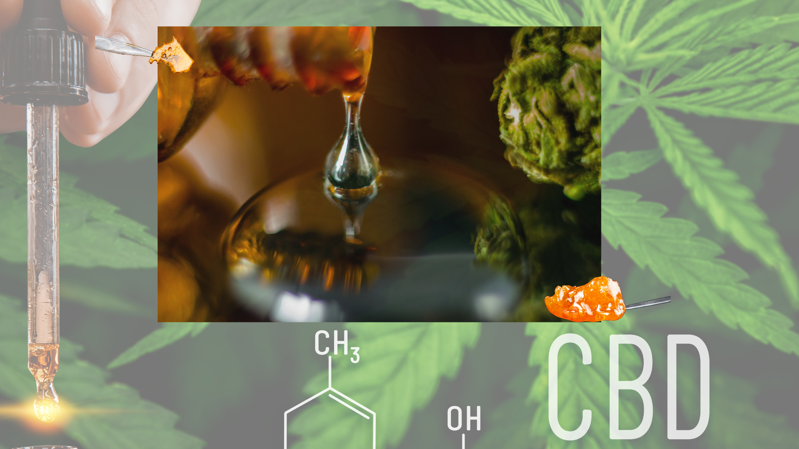 Vape Carts: Liquid Shatter and Live Rosin