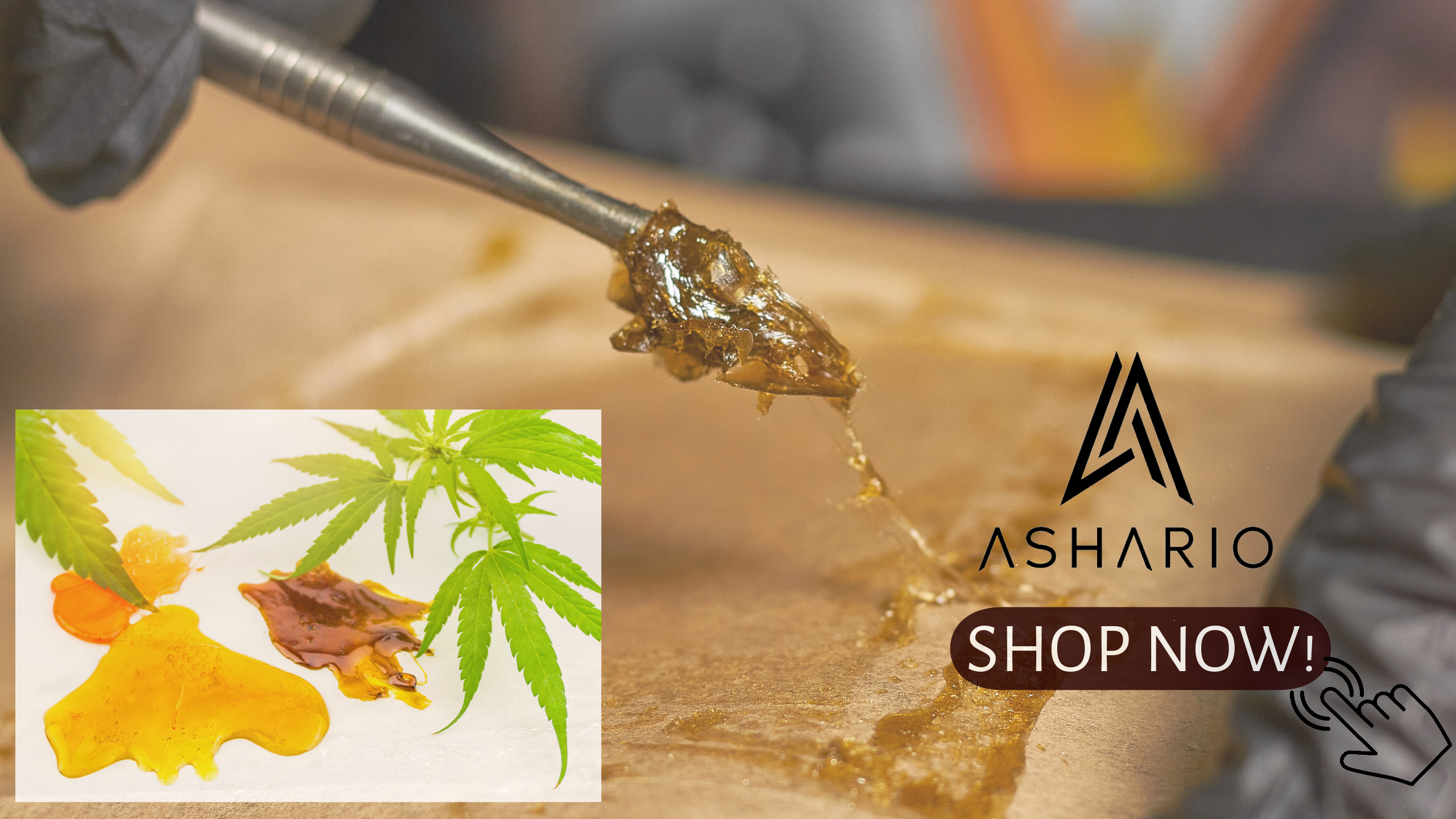 Experience the pure essence of cannabis with rosin concentrates, available near you at Ashario Cannabis. 