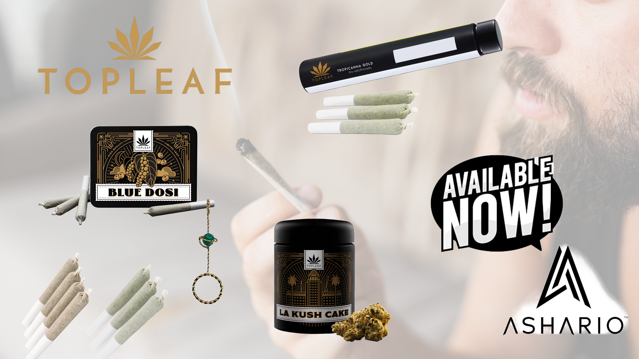 Dive into the world of premium cannabis with Top Leaf, the epitome of luxury and sophistication, now available at Ashario Cannabis.