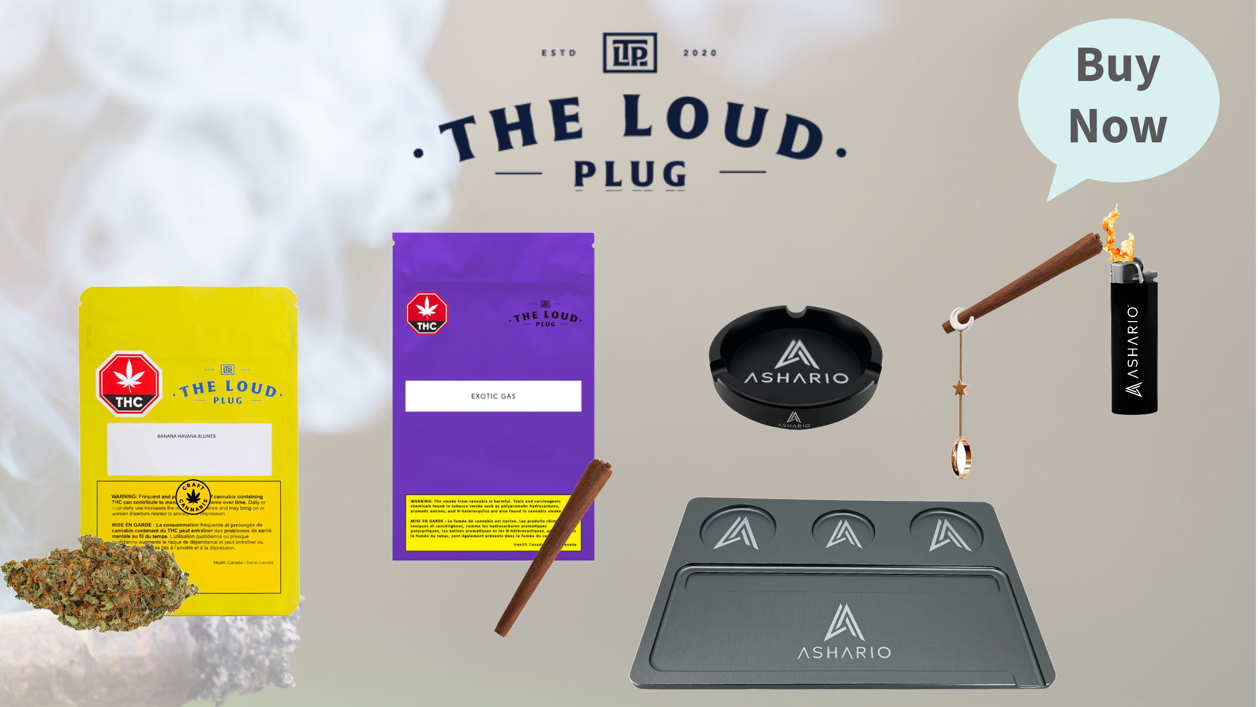 Step into the world of premium cannabis with The Loud Plug Brand, an emblem of quality and innovation. At Ashario Cannabis, we're proud to feature The Loud Plug's exceptional lineup of products, crafted with the utmost care and attention to detail.