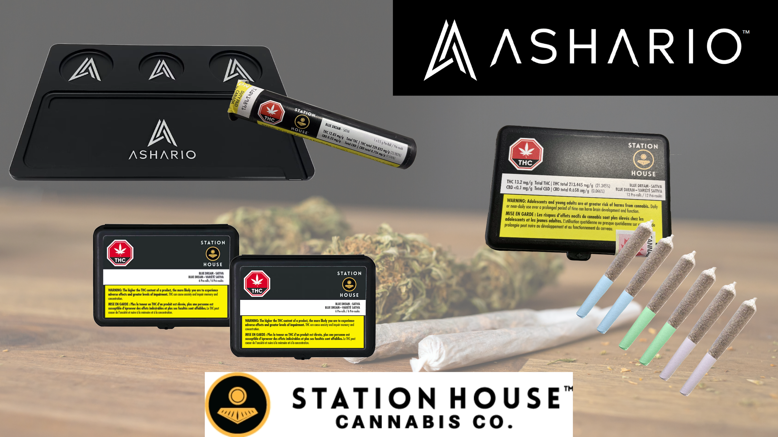 Explore the essence of small-batch cannabis with Station House, the latest addition to Ashario Cannabis's prestigious lineup.