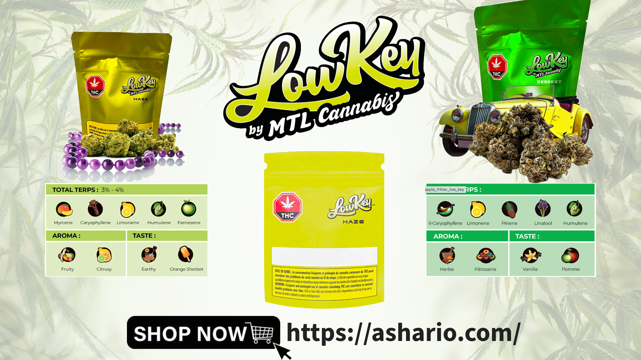 Unlock the world of quality cannabis at an affordable price with Lowkey by MTL Cannabis, exclusively available at Ashario Cannabis.