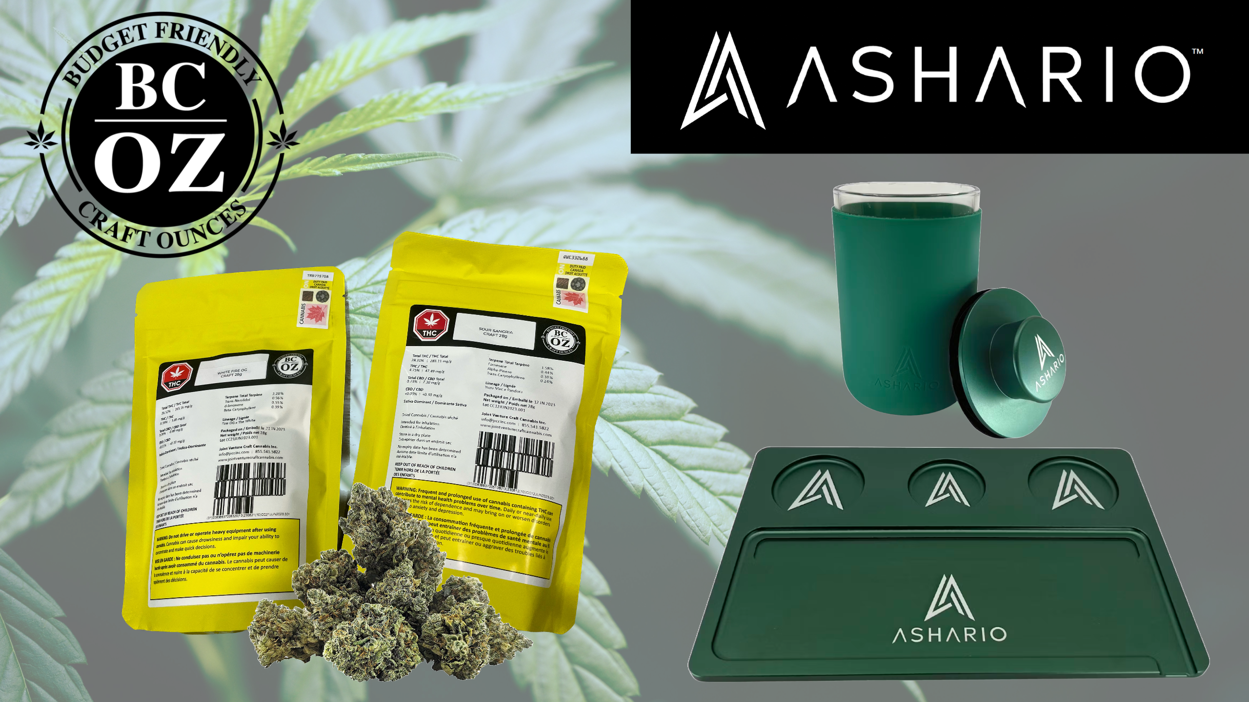 Introducing BC OZ, the latest addition to Ashario Cannabis's curated collection of premium brands. Dive into a world of exceptional quality and craftsmanship with BC OZ's meticulously cultivated cannabis flower.