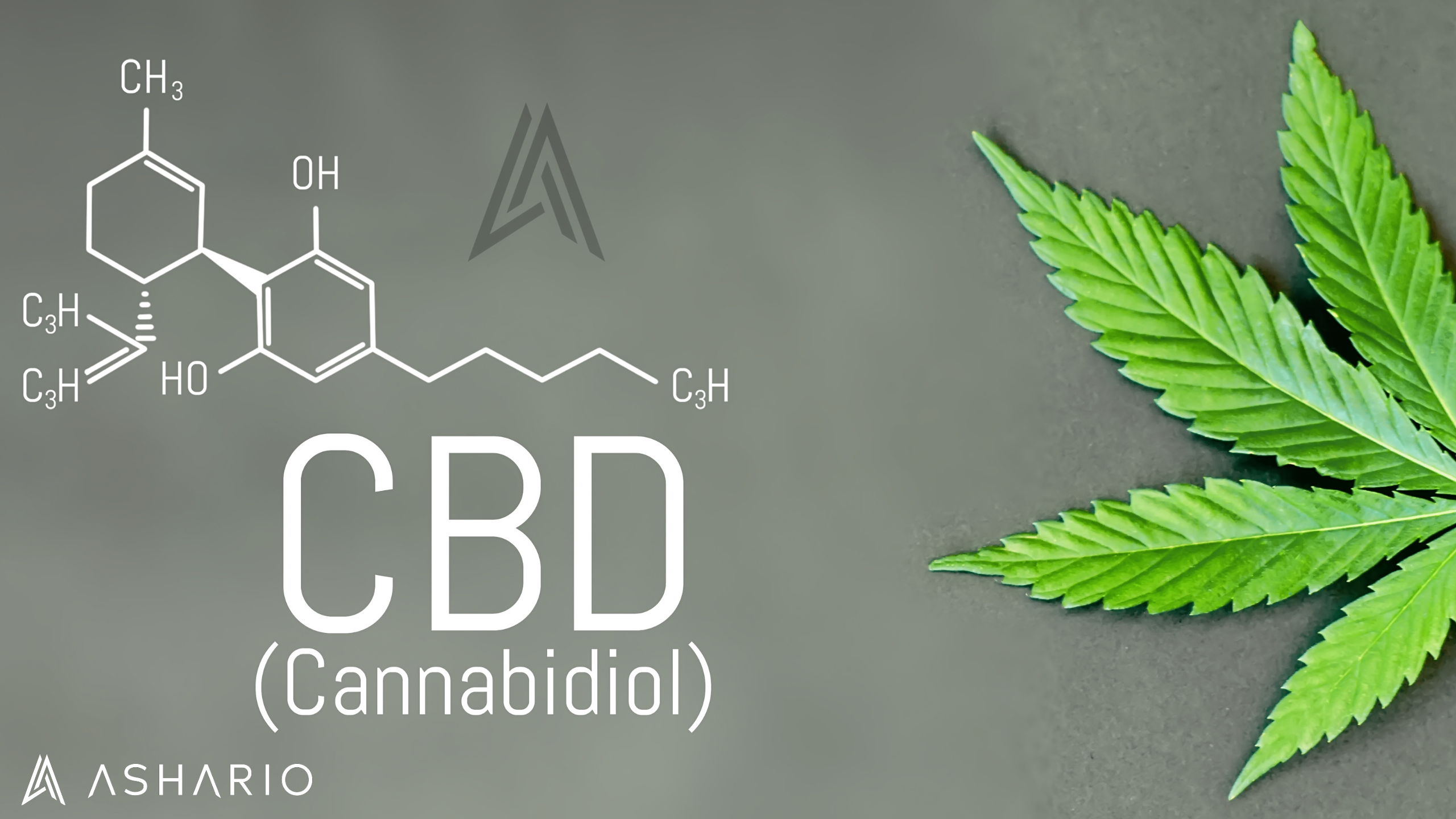 Join Ashario Cannabis on a journey through the fundamentals of cannabis CBD oils in our comprehensive guide. Learn the basics of CBD, including its extraction methods, potential health benefits, and legal considerations.