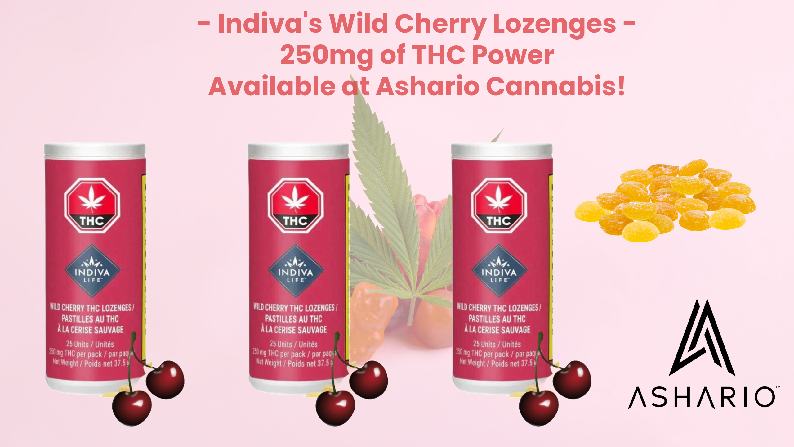 Indulge in the irresistible sweetness of Indiva Life's Wild Cherry Lozenges, each infused with a potent 250mg THC. 