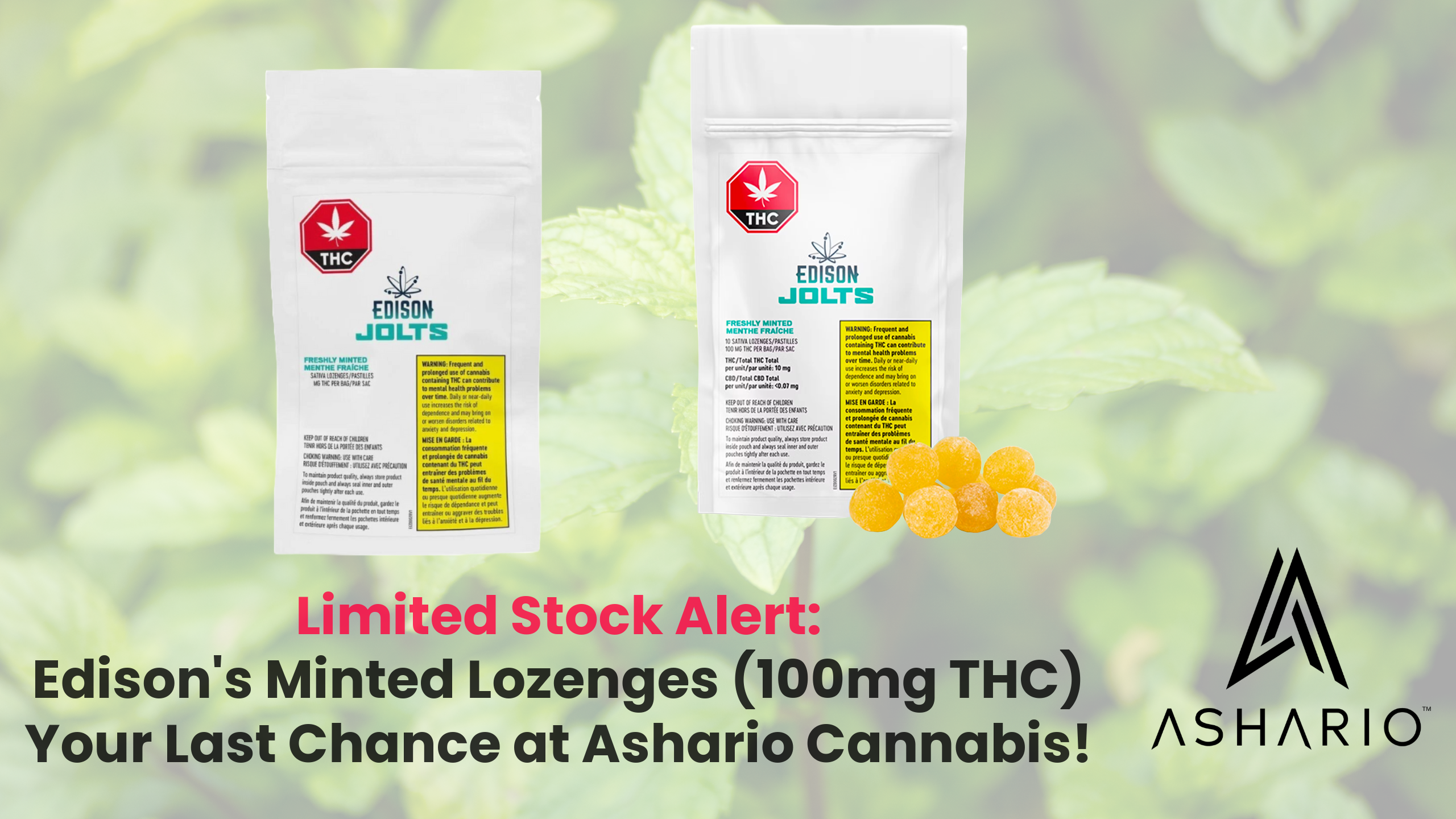 Savor the cool and invigorating taste of Freshly Minted Lozenges from Edison Jolts, each infused with a potent 100mg THC.