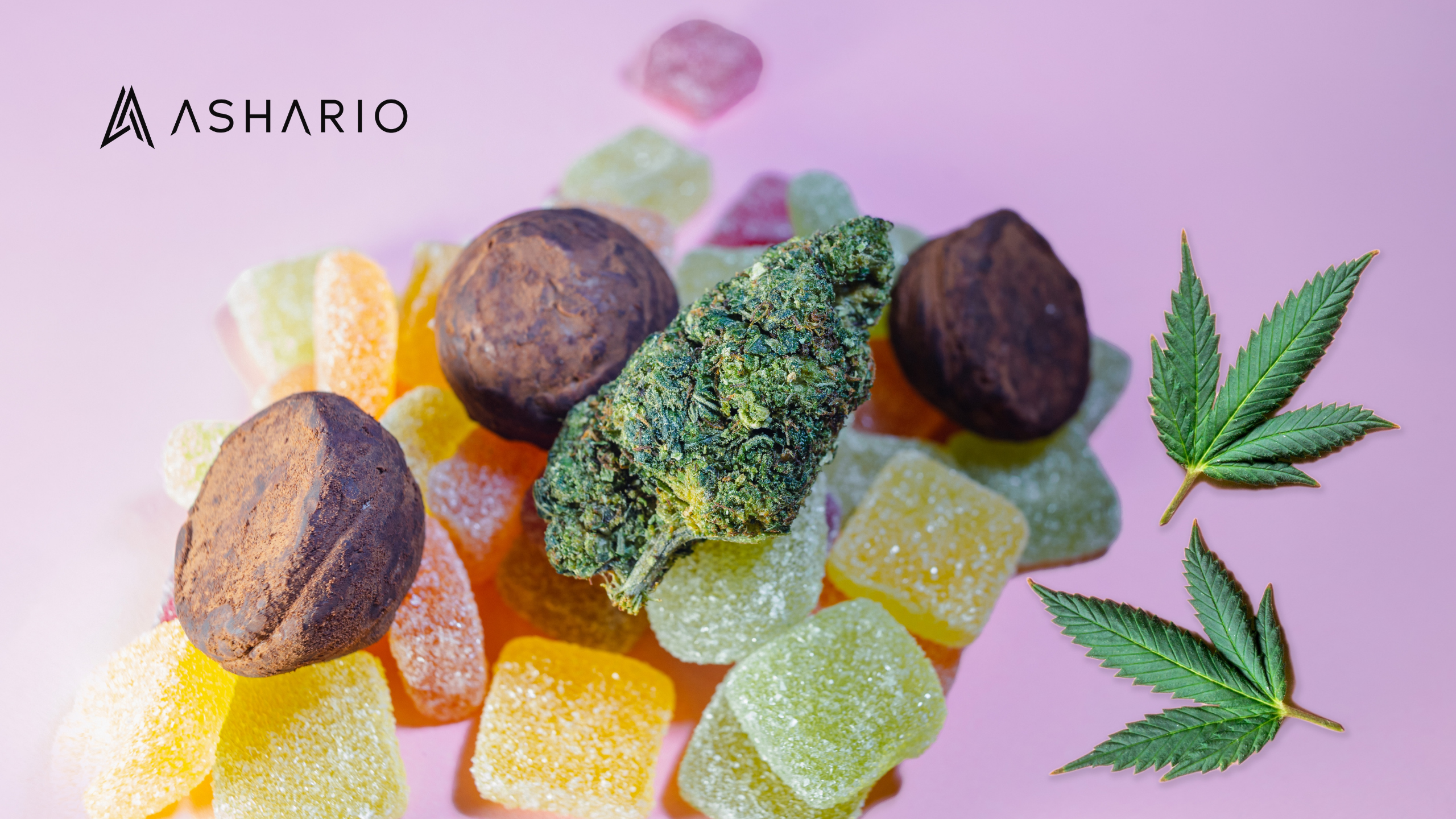 Explore the tantalizing world of cannabis edibles in North York with Ashario Cannabis. Our diverse selection caters to every taste, from classic gummies to artisanal chocolates, ensuring a delightful experience for all enthusiasts.