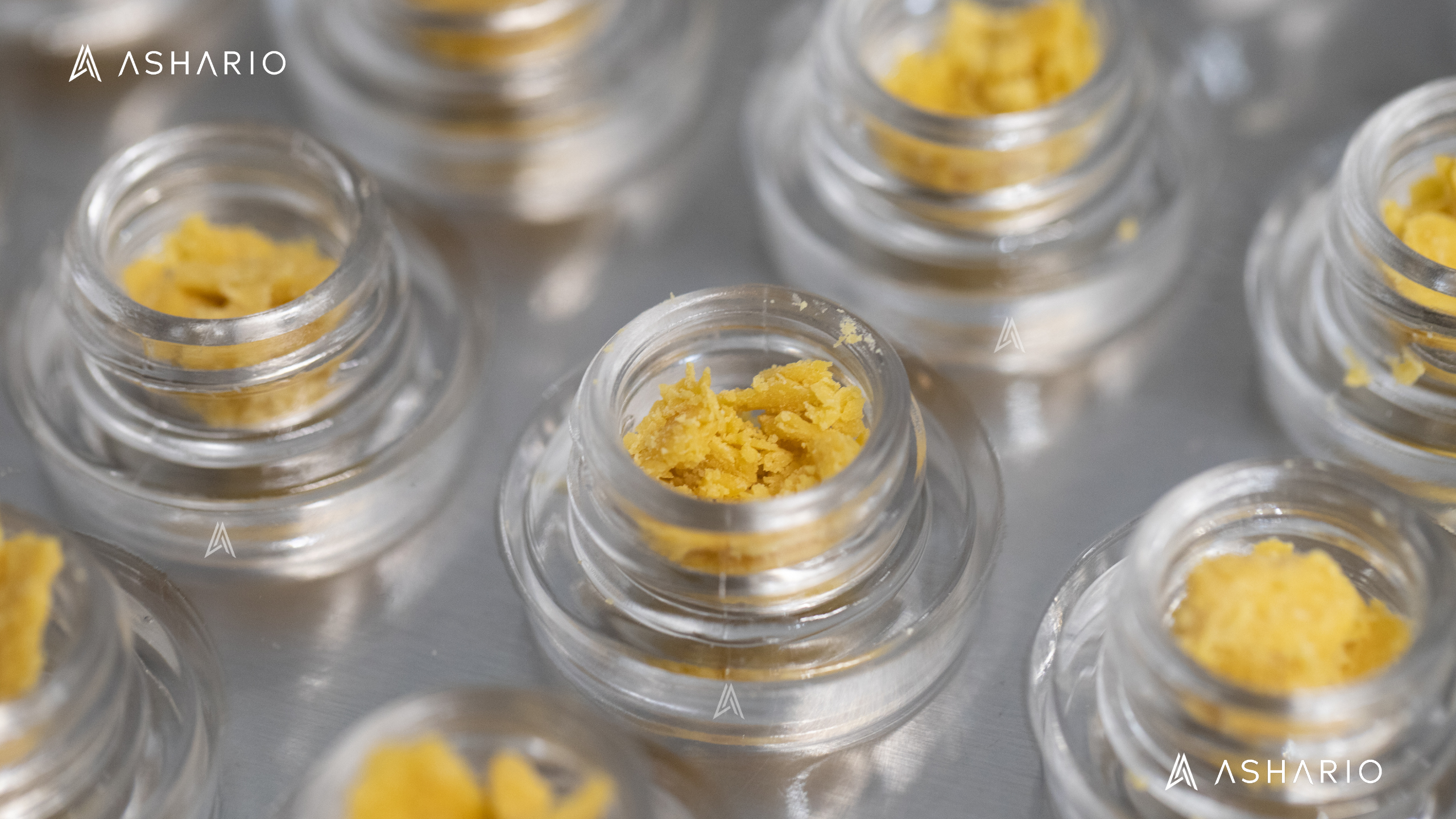 Delve into the world of cannabis extracts with our comprehensive guide tailored for enthusiasts and consumers alike. Explore the diverse landscape of cannabis concentrates, from potent oils and waxes to flavorful terpene-rich distillates.