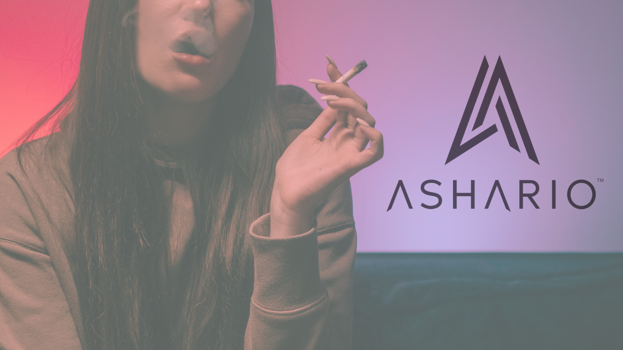 Embark on a journey of refinement and discovery with Ashario Cannabis as we unveil the world of craft cannabis in our comprehensive guide.