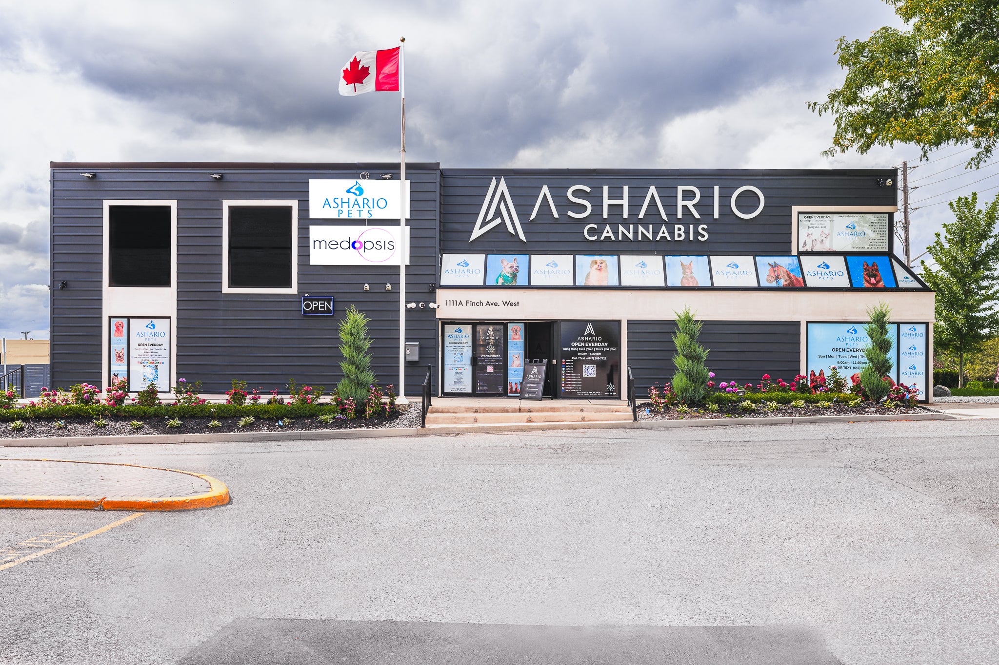 Look no further for your cannabis needs - Ashario Cannabis is the ultimate choice for enthusiasts in North York. Conveniently located at 1111A Finch Avenue West, Unit 2, North York, ON M3J 2P7