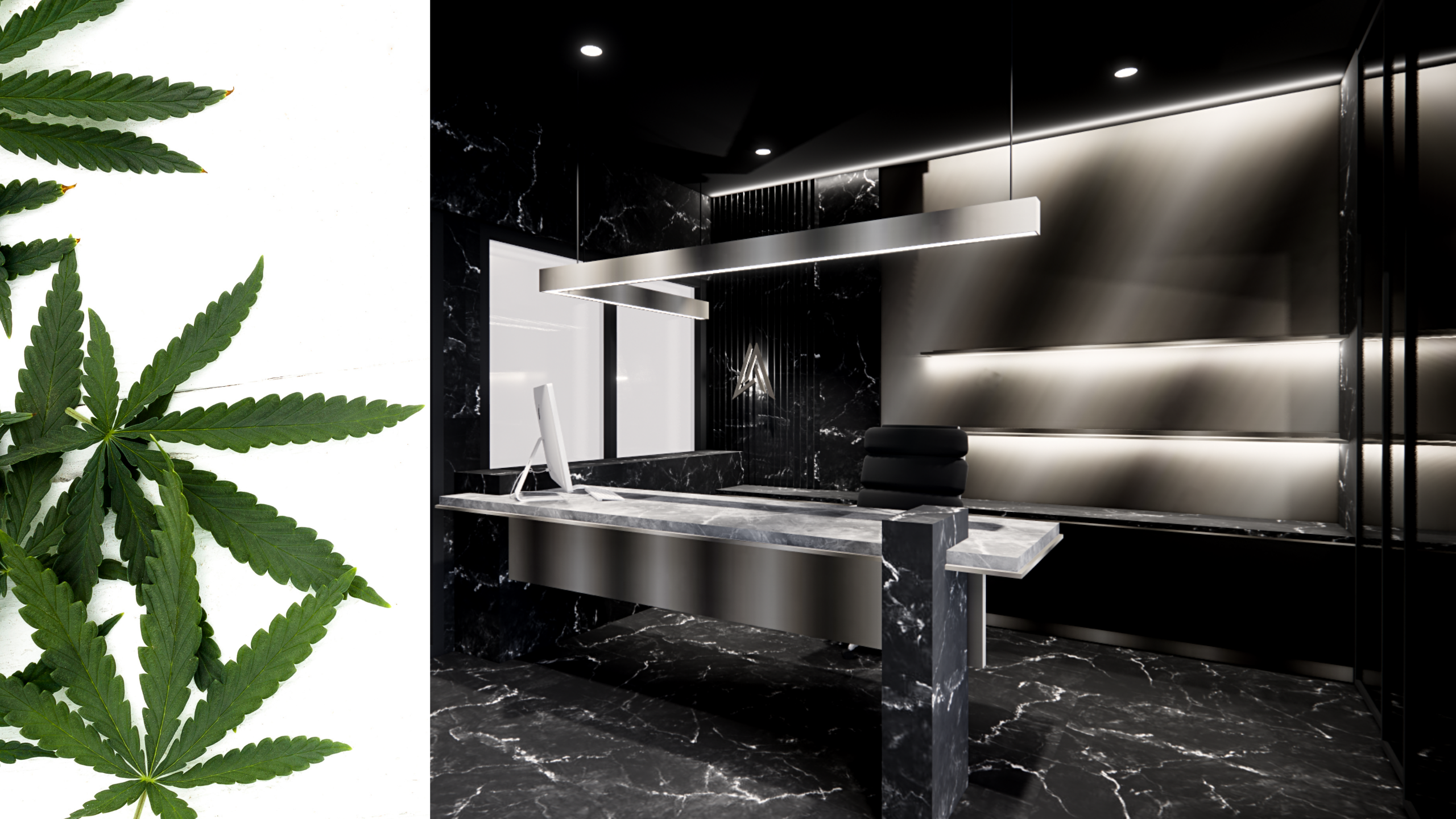 Explore excellence in cannabis products at Ashario, where quality, variety, and innovation meet.