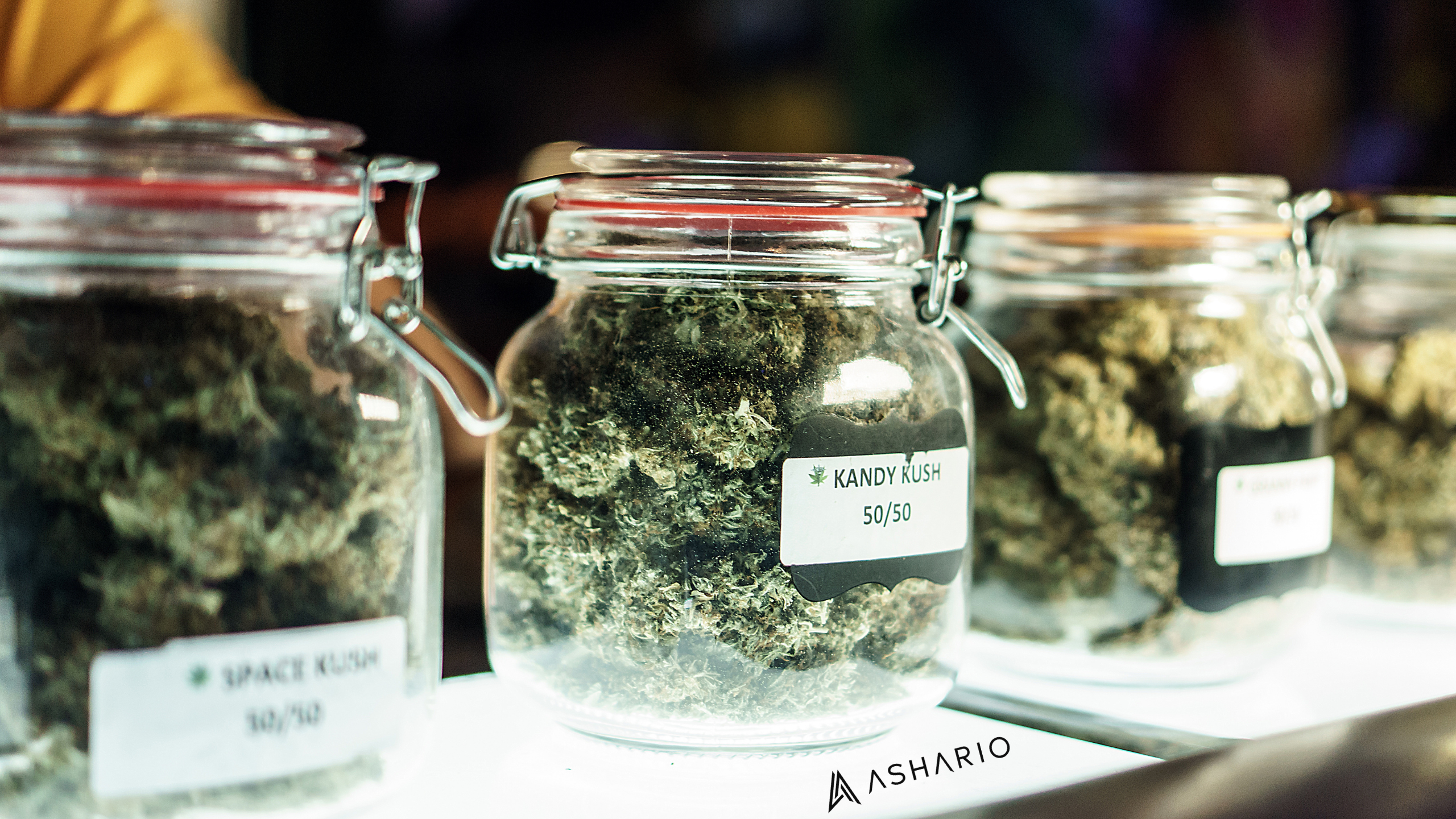 Embark on a journey of taste and potency with Ashario Cannabis, where an extensive selection of high-quality THC edibles awaits. 
