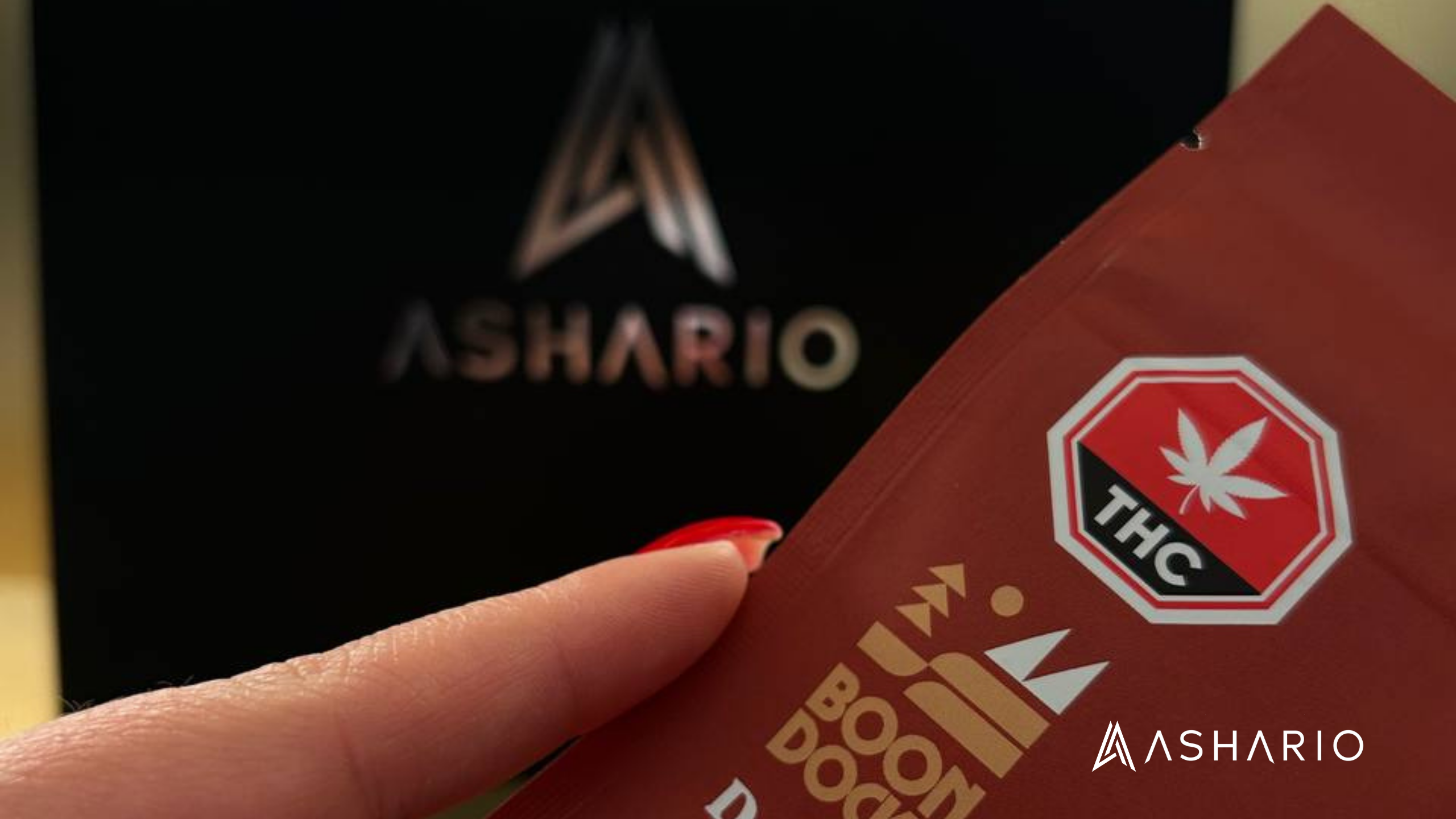 Discover the synergy of Ashario Cannabis and Boondocks: a premier cannabis experience. Quality products, community engagement, and diverse offerings await. Elevate your journey today.