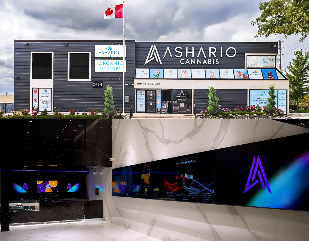 Best Cannabis Store in North York | Ashario Cannabis (Open 7AM–11PM)