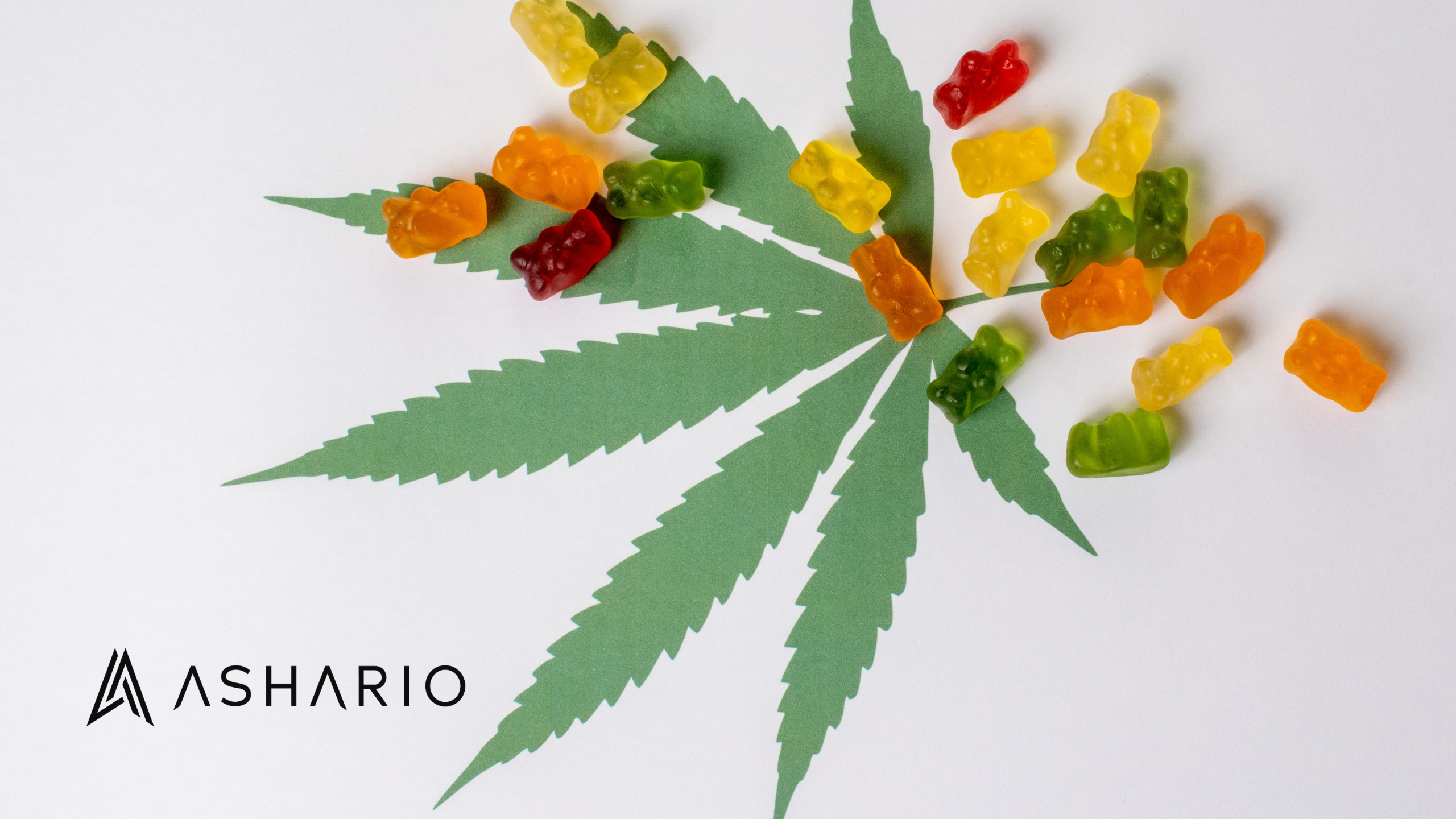 Indulge in the soothing embrace of high CBD gummies from Ashario Cannabis, where relaxation meets elevated wellness. 