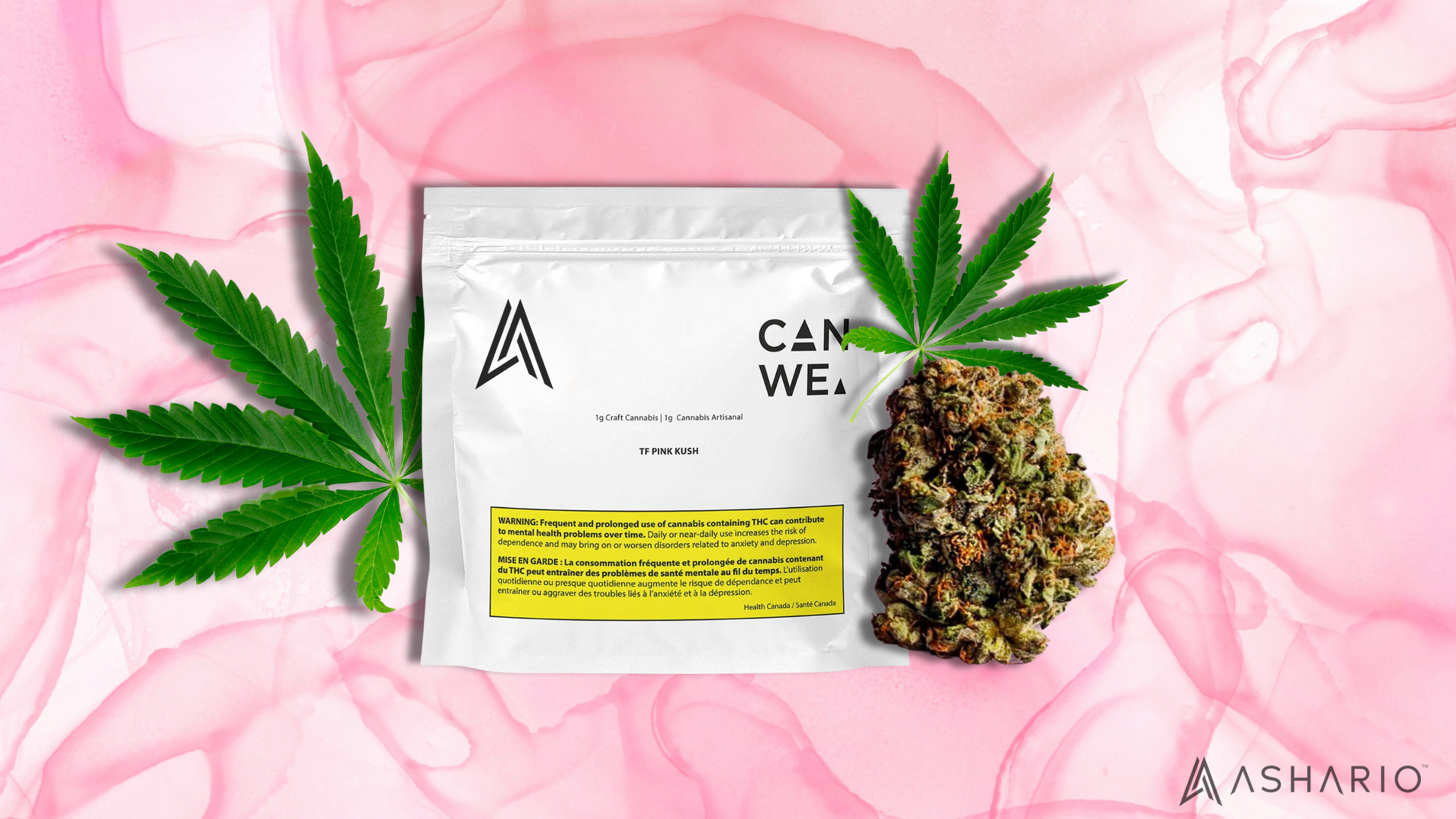 Dive into a world of luxury and relaxation with CANWE TF Pink Kush, exclusively from Ashario Cannabis. Indulge your senses in the blissful aroma of this premium strain, characterized by its sweet and floral notes with a hint of earthiness.