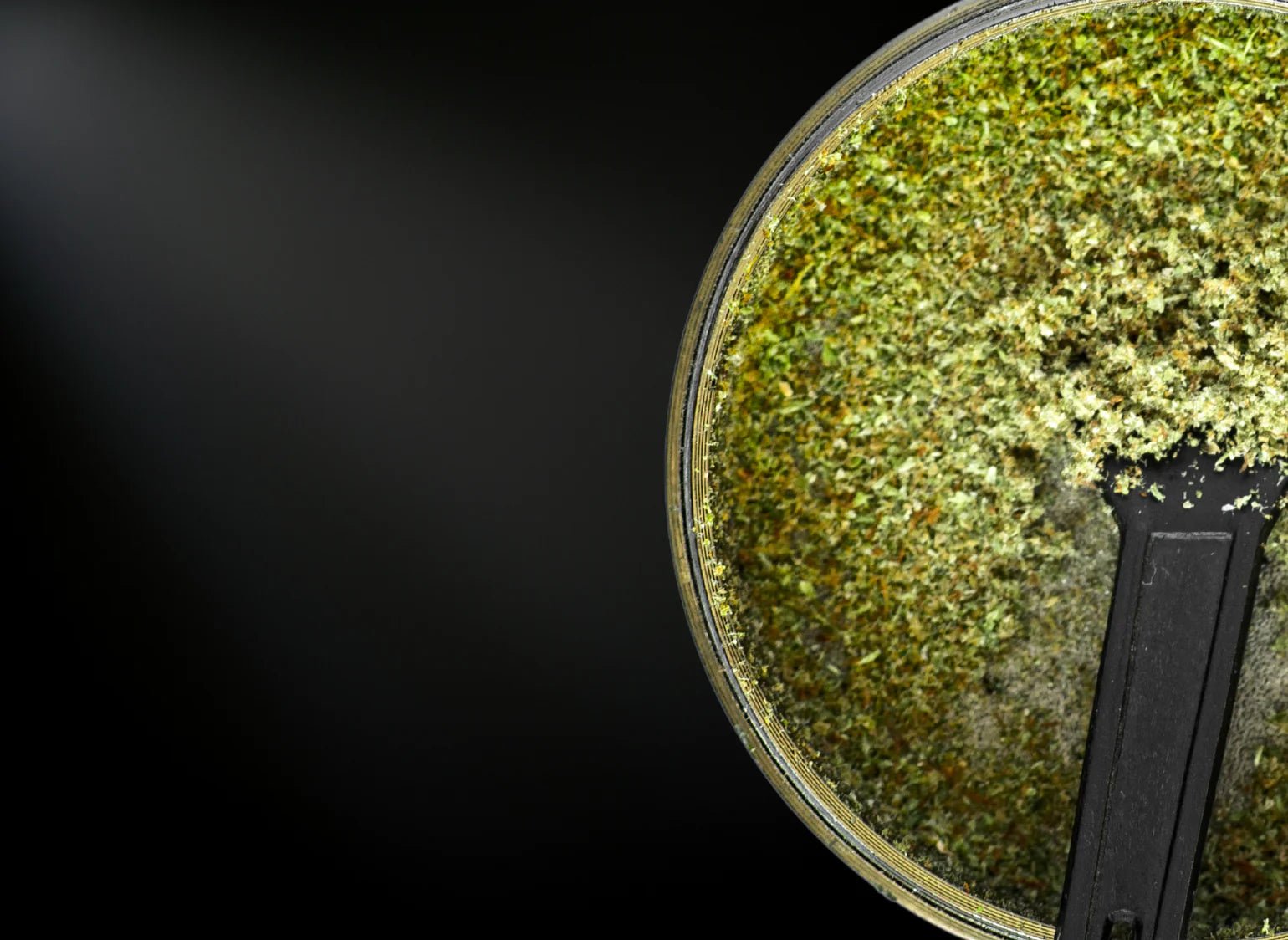 Kief Concentrates Near Me