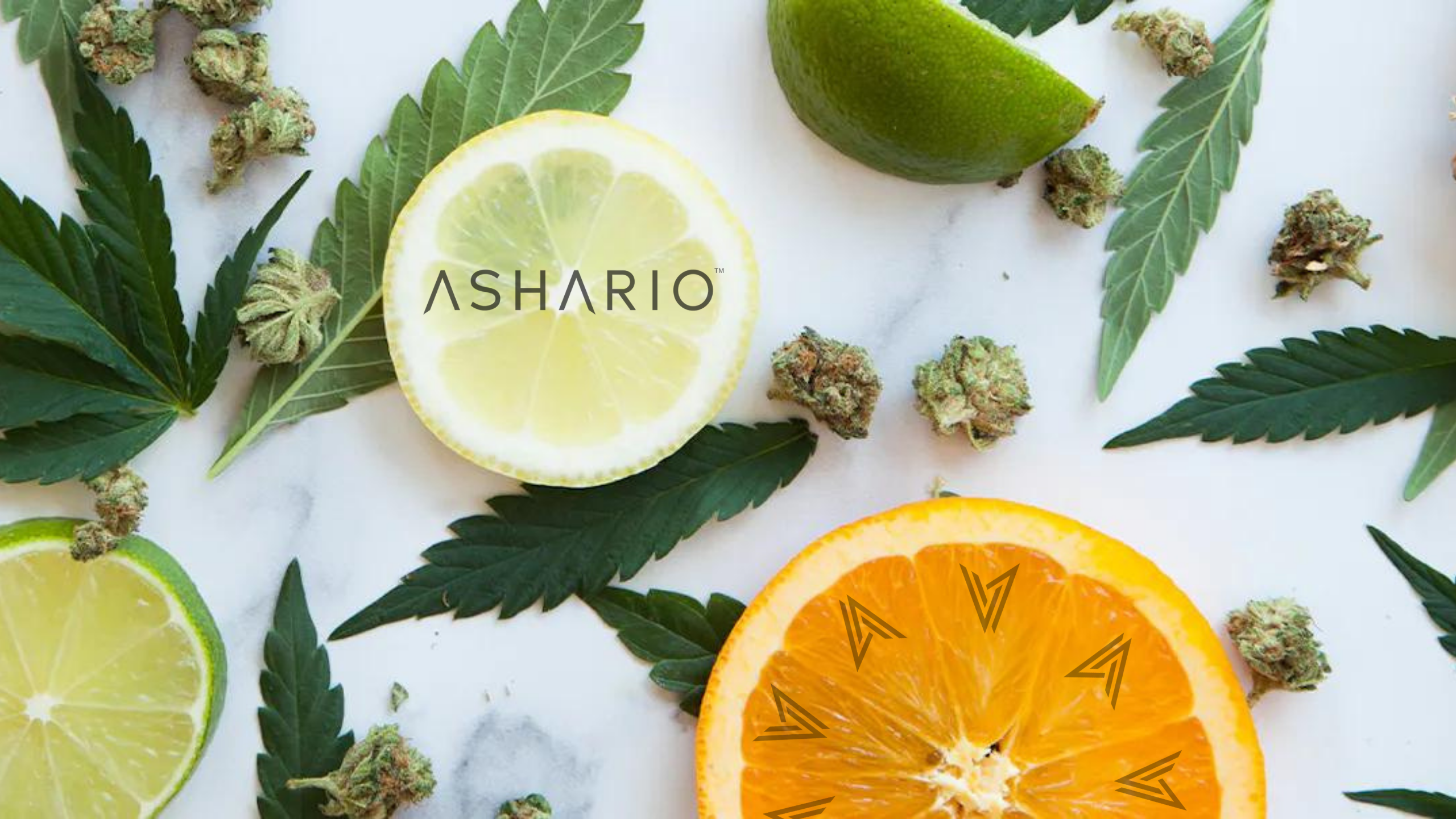 Join us as we explore the zesty world of limonene with Ashario Cannabis. Delve into the bright and invigorating aroma of this citrus terpene and discover its potential benefits for both body and mind.
