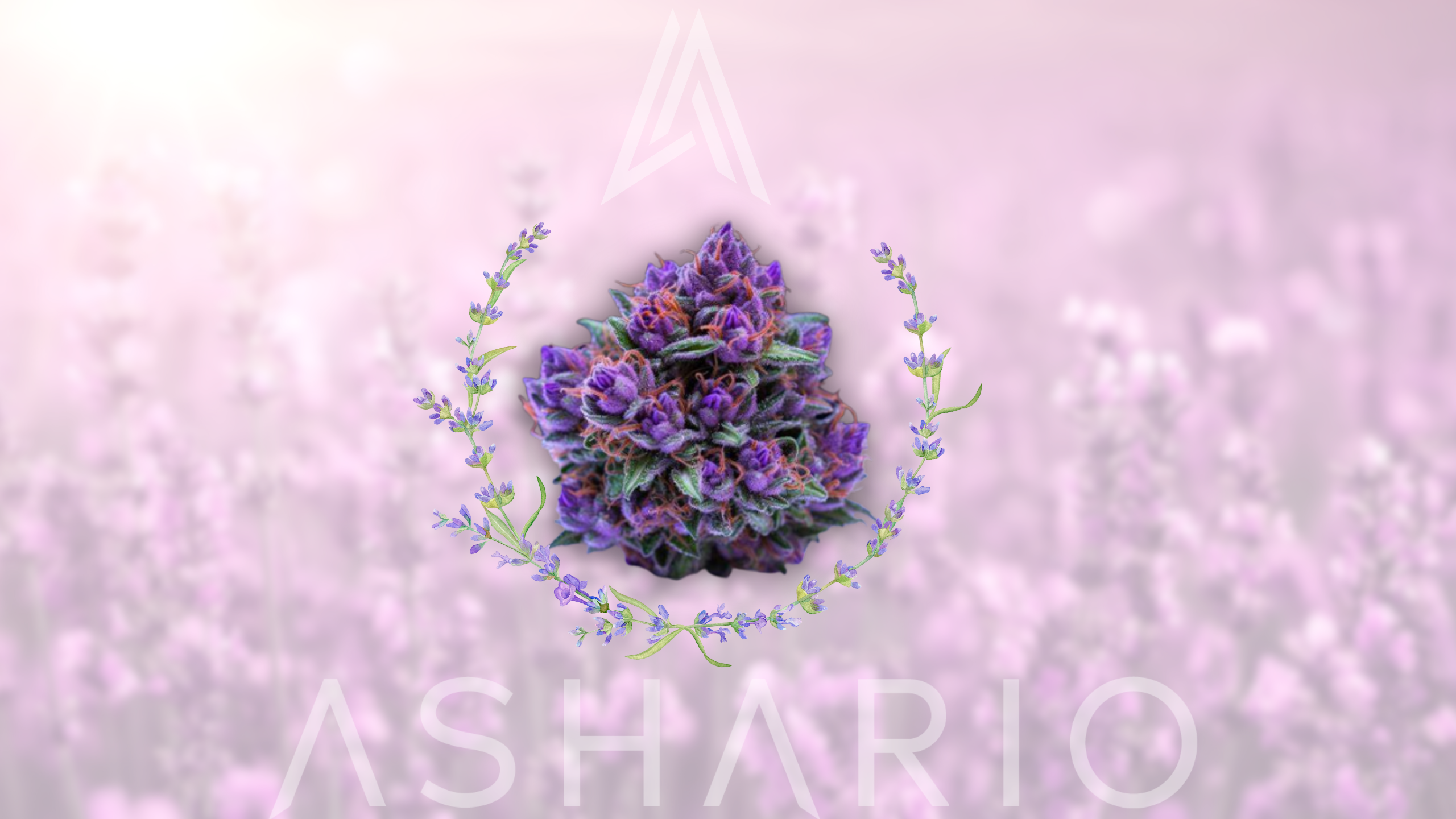 Join us on a journey into the natural benefits of cannabis as we explore the power of linalool terpene. Discover how this aromatic compound, found in various cannabis strains, offers a range of therapeutic properties.