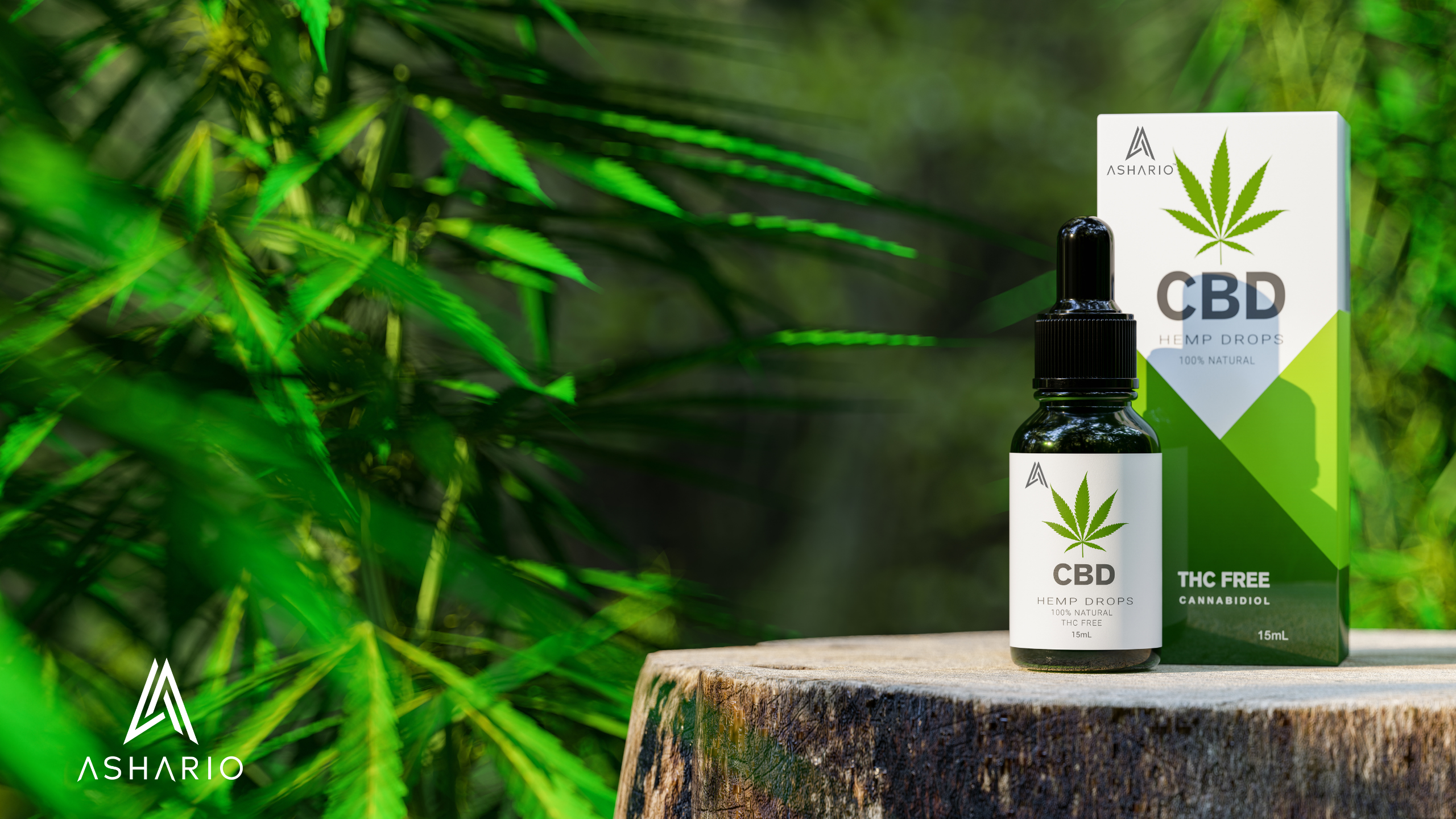 Explore the world of CBD products at Ashario Cannabis in North York with our comprehensive guide. Whether you're new to CBD or a seasoned enthusiast, we have everything you need to incorporate this versatile cannabinoid into your wellness routine.