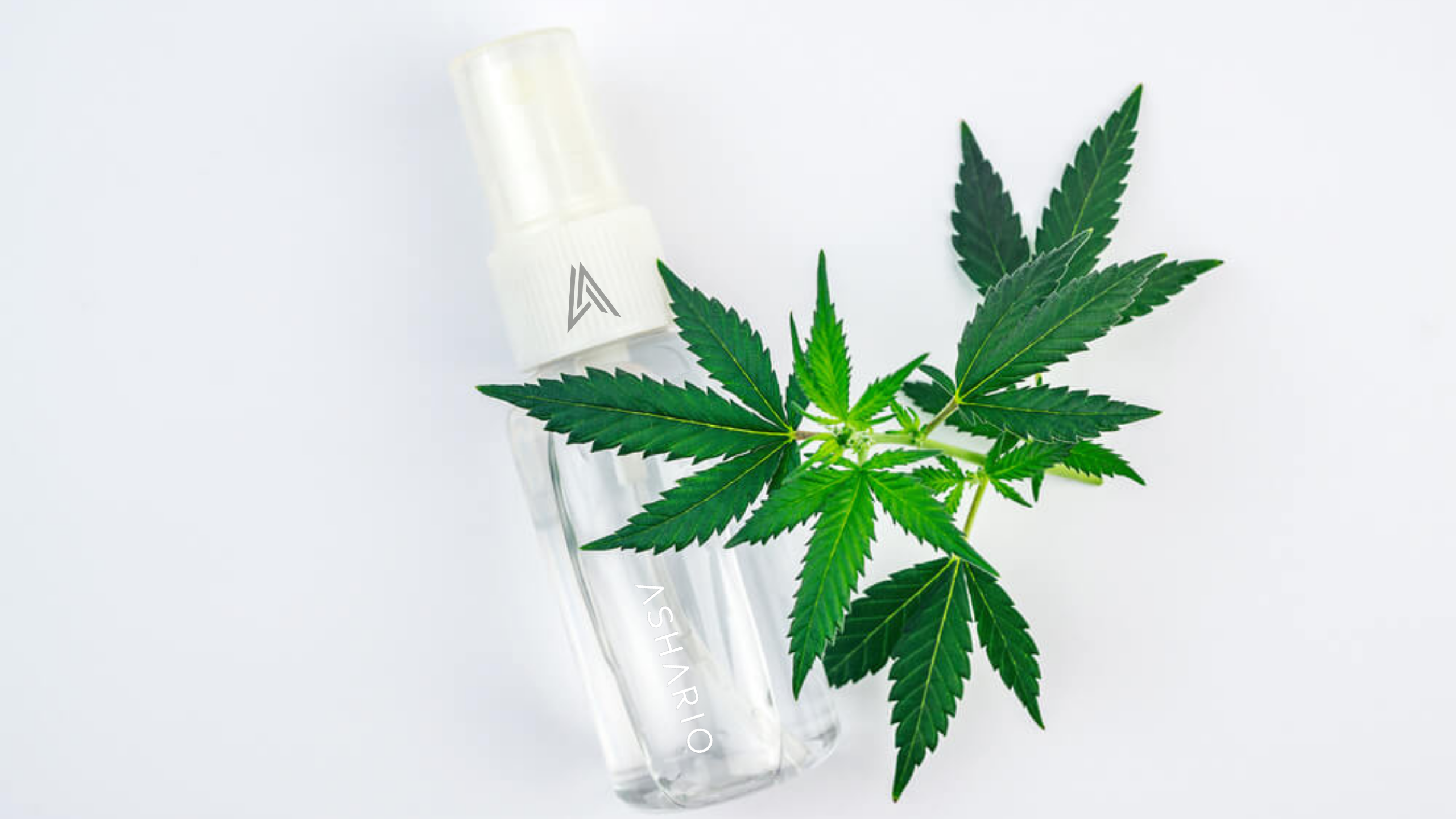 Discover the optimal dosage for oral spray with Ashario Cannabis as your trusted advisor. Explore the factors that influence dosage, including individual tolerance, desired effects, and product potency.